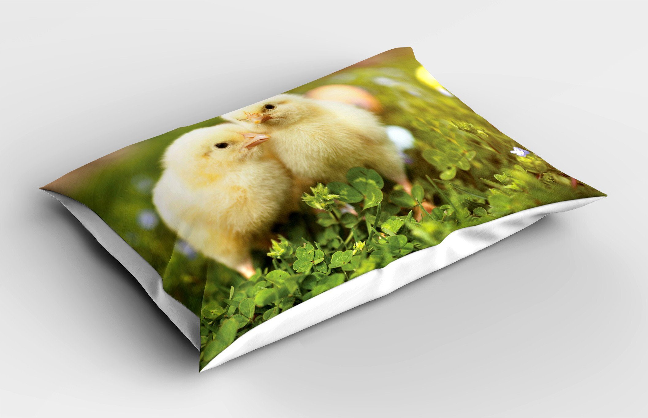 Chicks Gedruckter Stück), Standard Baby-Hühner Kissenbezug, Size Kissenbezüge Abakuhaus (1 Dekorativer King Foto