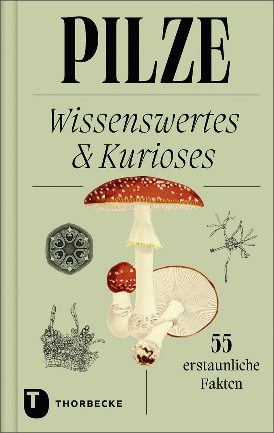 Pilze / diverse