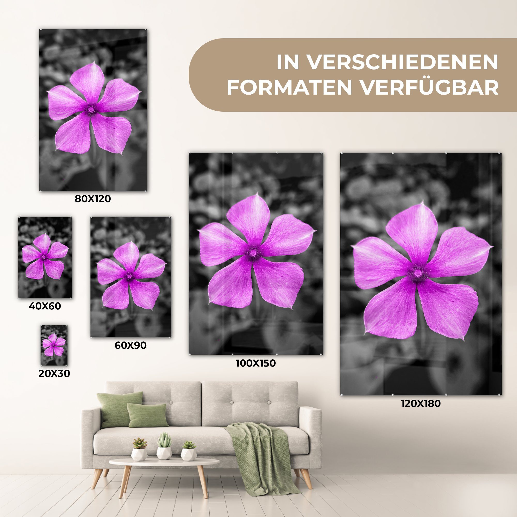 (1 - Weiß - Blumen - Foto Acrylglasbild Glas auf Glas Bilder Glasbilder auf Lila, - Wandbild Schwarz MuchoWow St), Wanddekoration - -