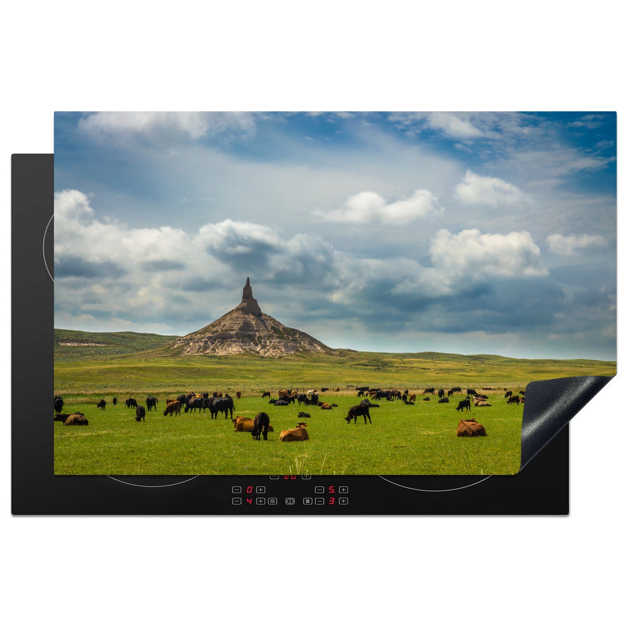 auf küche, Wiese für cm, Nebraska, (1 tlg), die Schutz grasen MuchoWow Vinyl, Ceranfeldabdeckung einer in Herdblende-/Abdeckplatte Kühe Induktionskochfeld 81x52 Alle