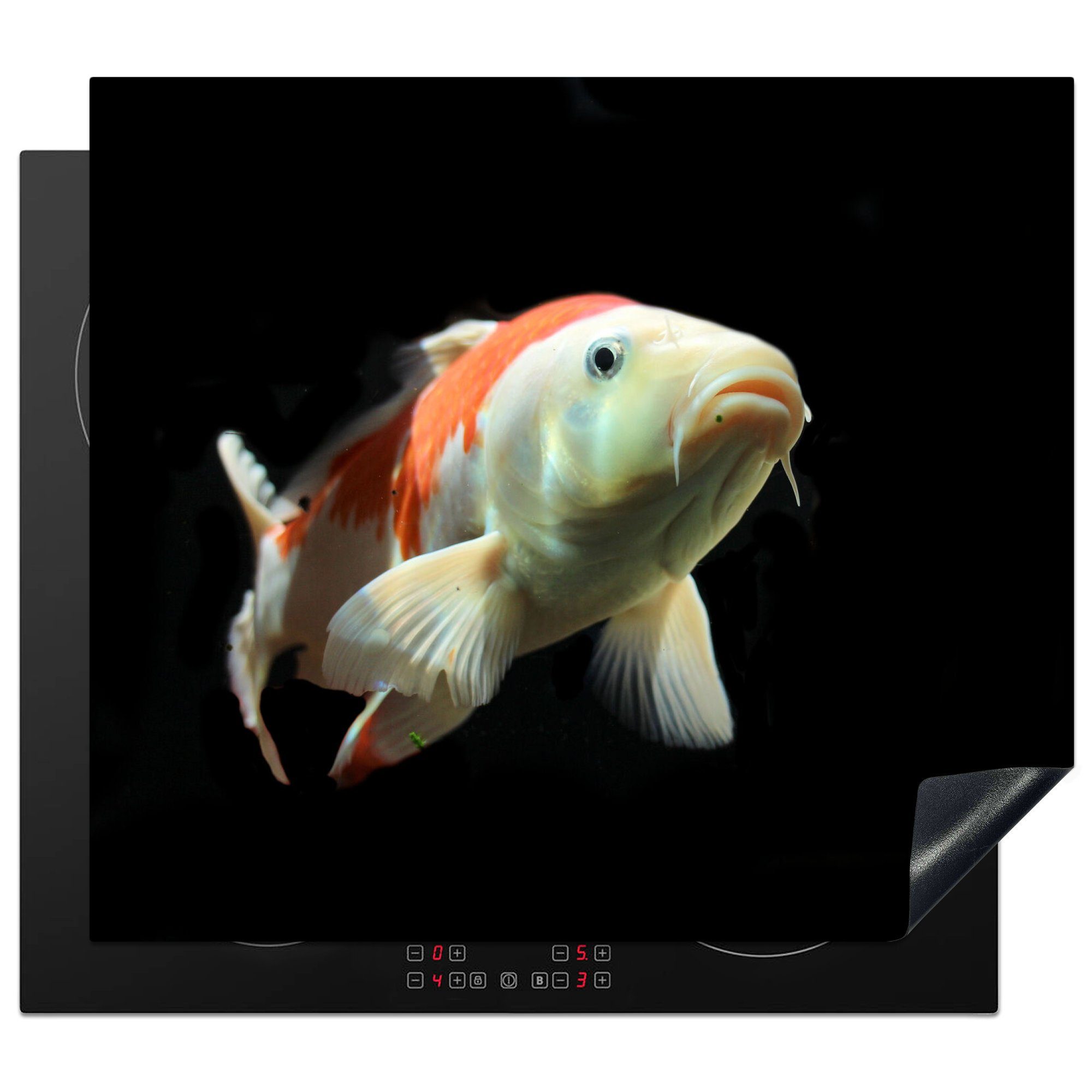 MuchoWow Herdblende-/Abdeckplatte Ein Koi-Karpfen mit orangefarbenen Details vor einem schwarzen, Vinyl, (1 tlg), 60x52 cm, Mobile Arbeitsfläche nutzbar, Ceranfeldabdeckung