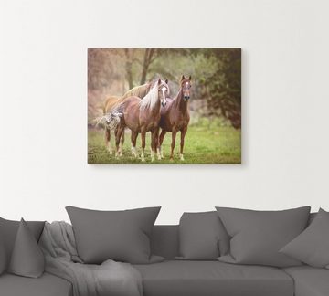 Artland Wandbild Pferde in den Feldern I, Haustiere (1 St), als Leinwandbild, Poster, Wandaufkleber in verschied. Größen