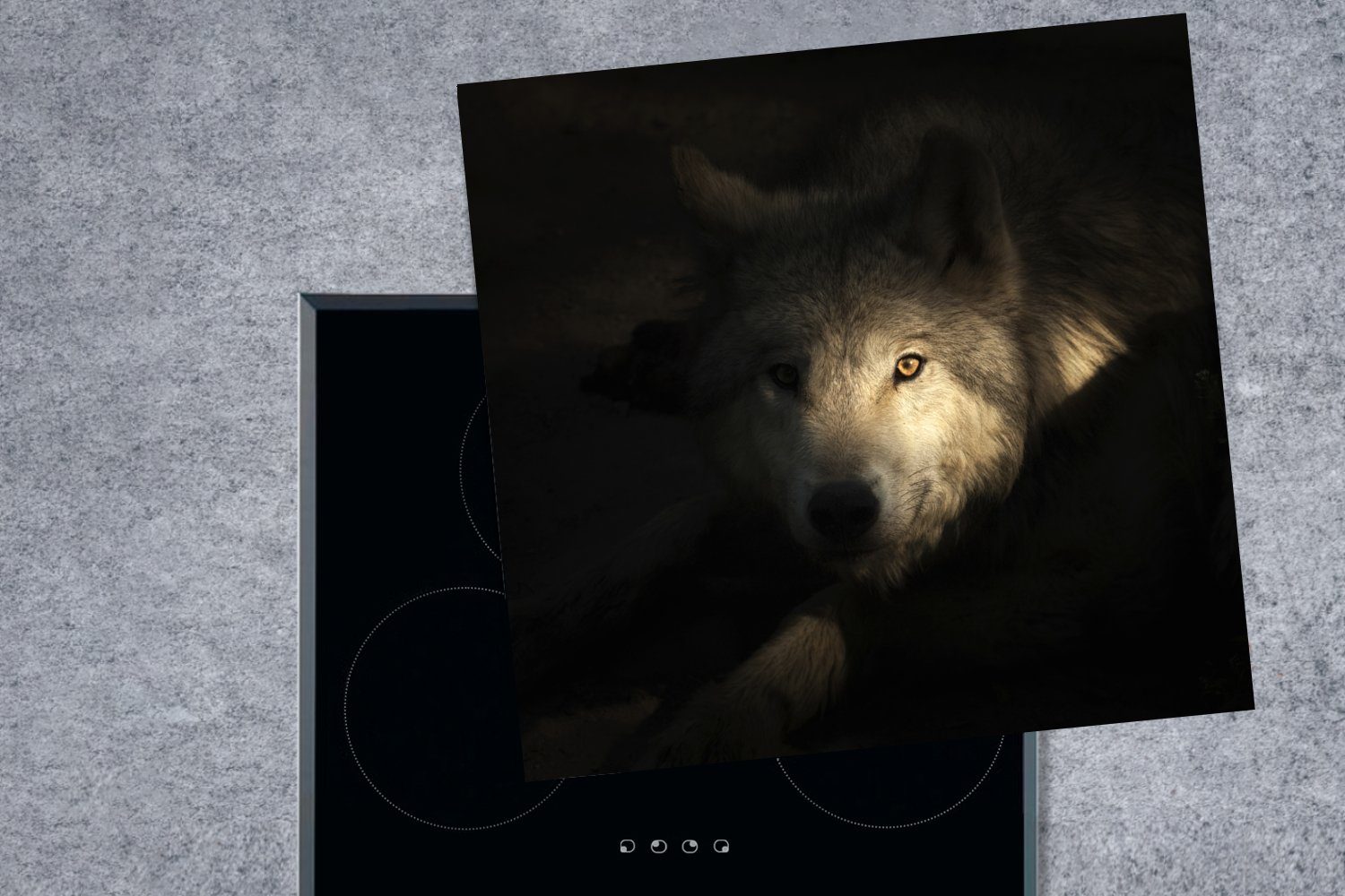tlg), (1 78x78 Wolfs, arktischen MuchoWow Ceranfeldabdeckung, Arbeitsplatte Porträt küche eines Vinyl, cm, Herdblende-/Abdeckplatte für