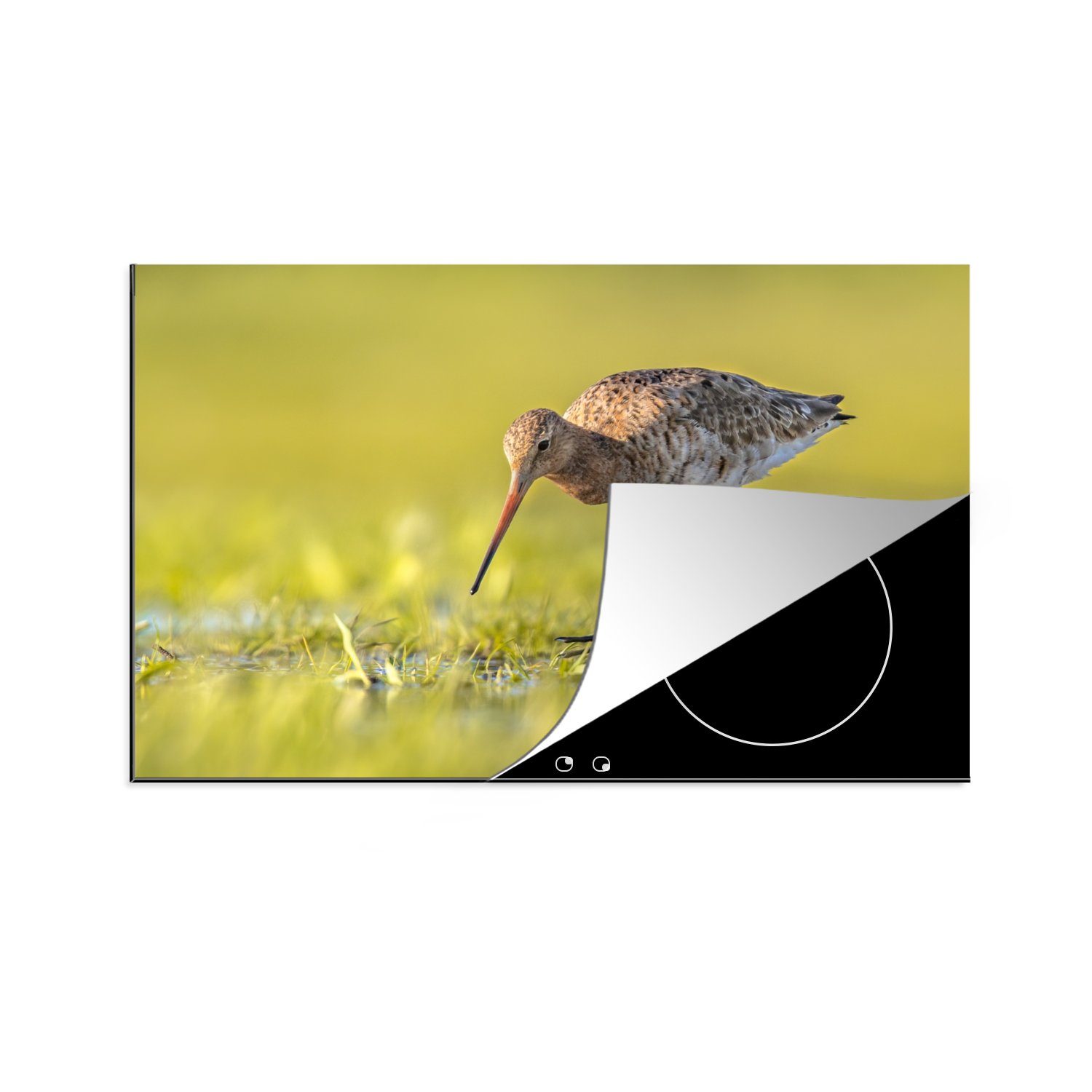 MuchoWow Herdblende-/Abdeckplatte Vögel - Gras - Landschaft - Uferschnepfe, Vinyl, (1 tlg), 81x52 cm, Ceranfeldabdeckung, Arbeitsplatte für küche