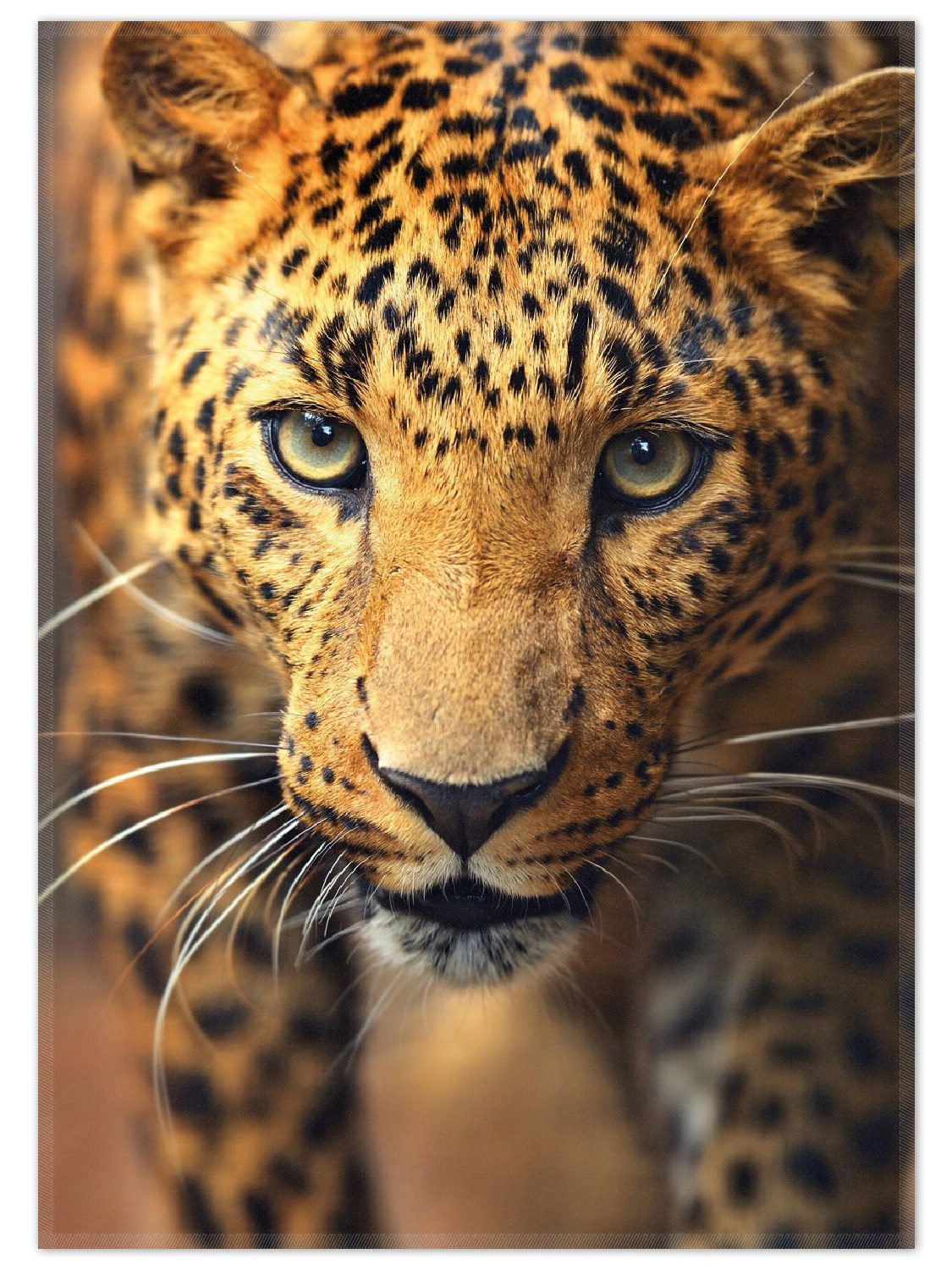 Wallario Teppich Leopard in Nahaufnahme beim Laufen, rechteckig, rutschfest