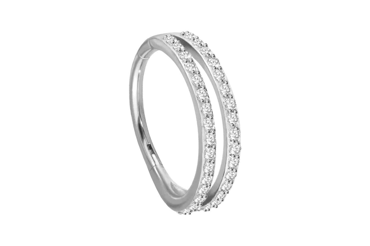 PIERCINGLINE Nasenpiercing Chirurgenstahl Segmentring Clicker 2 RINGE + EIN günstig online kaufen