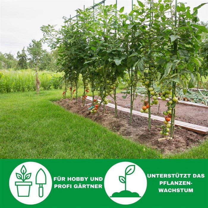 Novatool Spalier 5 Tomatenstäbe 110 cm 5 mm ØSparSet 5 St. verzinkt