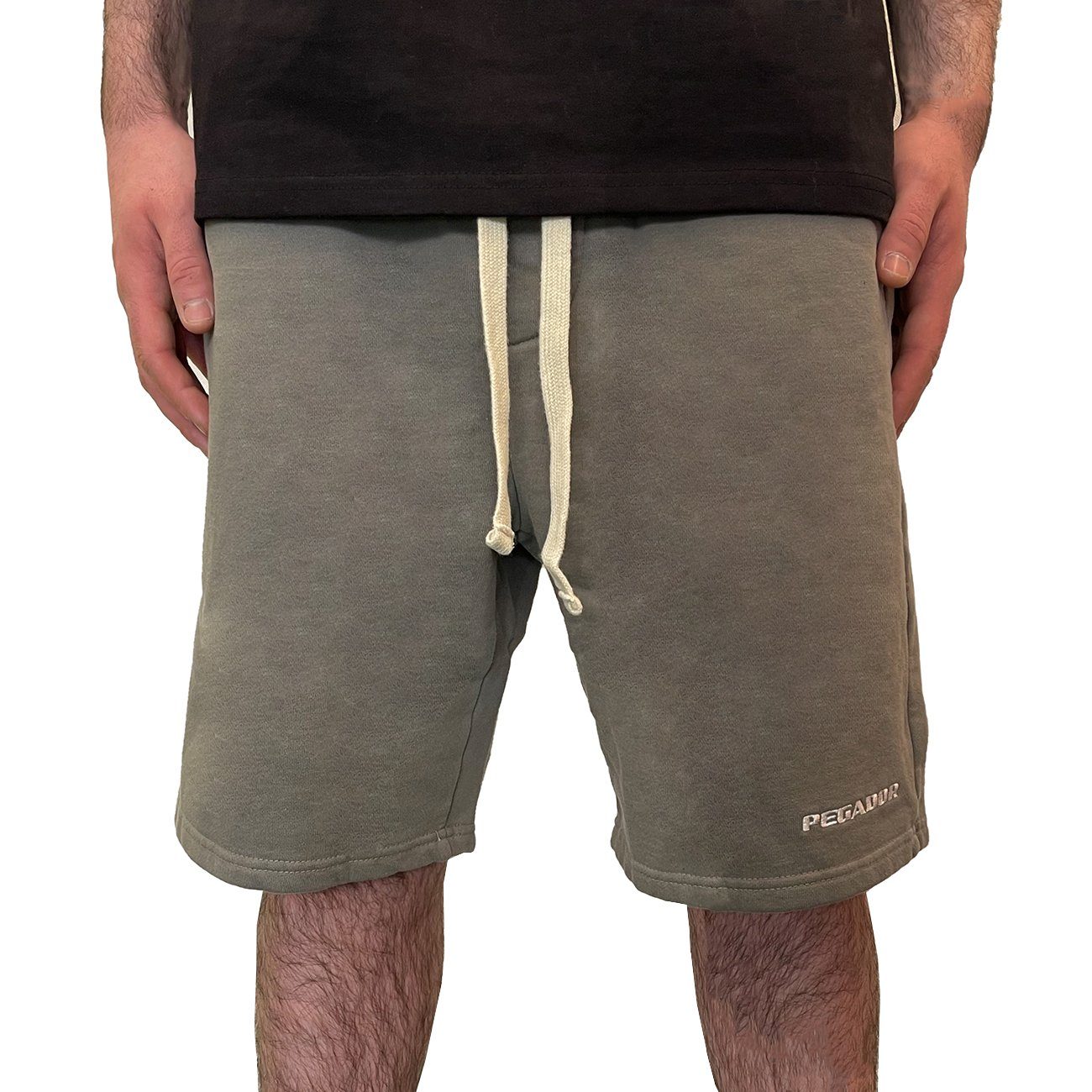 PEGADOR / Herren-Shorts / Logo Swim Shorts