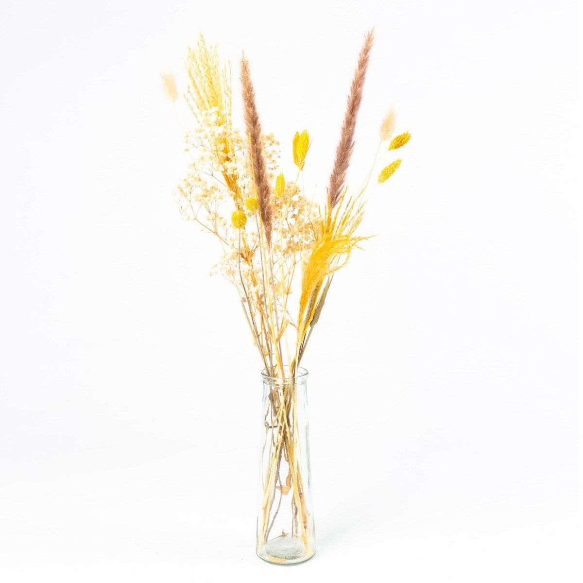 Trockenblume Trockenblumen mit Flasche LOTTCHEN, braun, 77 cm, Ø15 cm, artplants, Höhe 77.0 cm