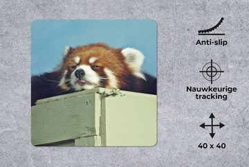 MuchoWow Gaming Mauspad Panda - Holz - Rot (1-St), Mousepad mit Rutschfester Unterseite, Gaming, 40x40 cm, XXL, Großes