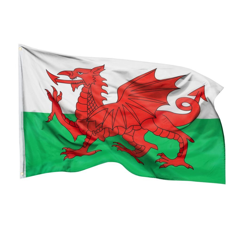 PHENO FLAGS Flagge Wales Flagge 90 x 150 cm Walisische Drache Fahne Wappen (Hissflagge für Fahnenmast), Inkl. 2 Messing Ösen