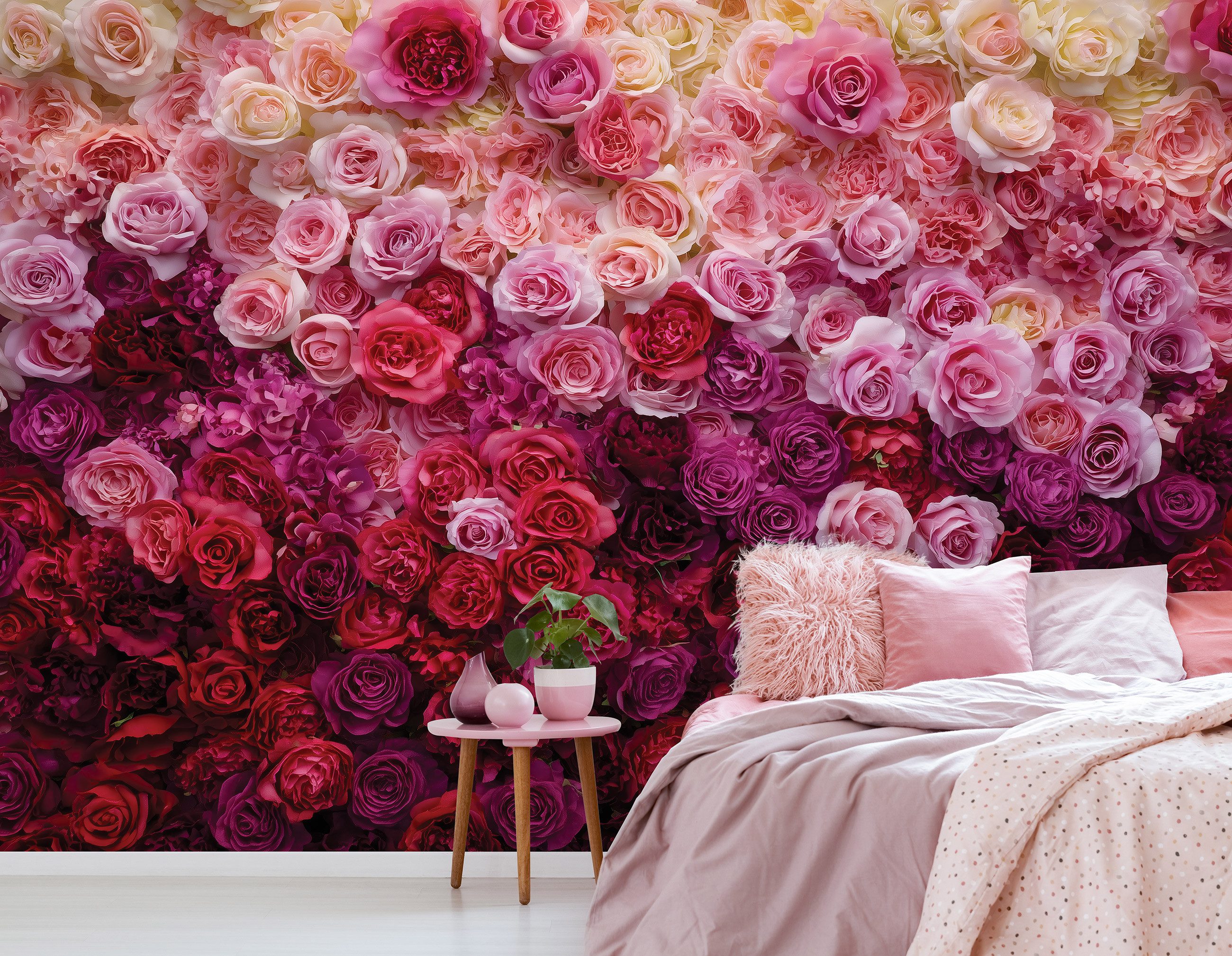 Wallarena Fototapete Rosen Natur Blumen Vlies günstig online kaufen