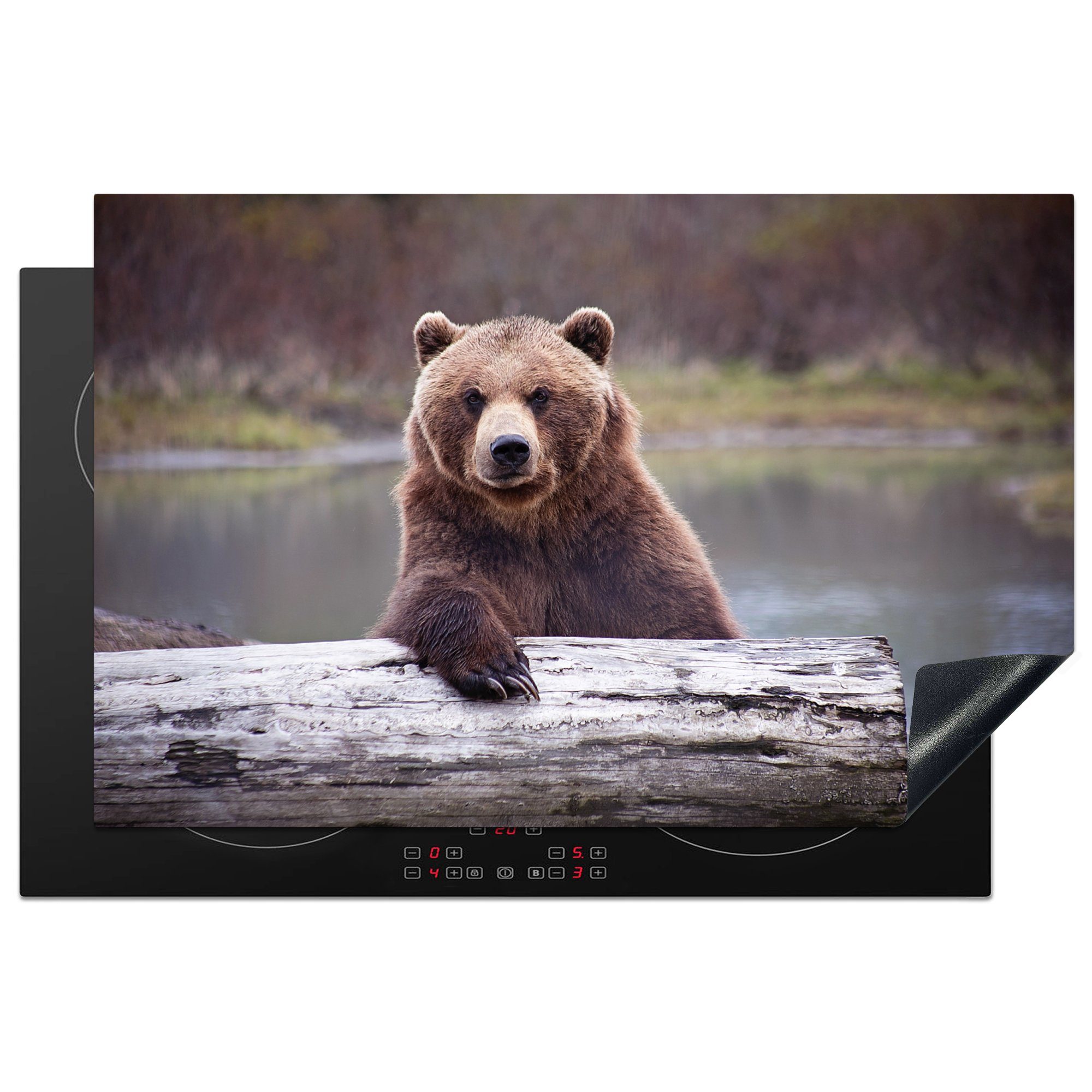 MuchoWow Herdblende-/Abdeckplatte Bild eines Grizzlybären vor einem verblassten Hintergrund, Vinyl, (1 tlg), 81x52 cm, Induktionskochfeld Schutz für die küche, Ceranfeldabdeckung