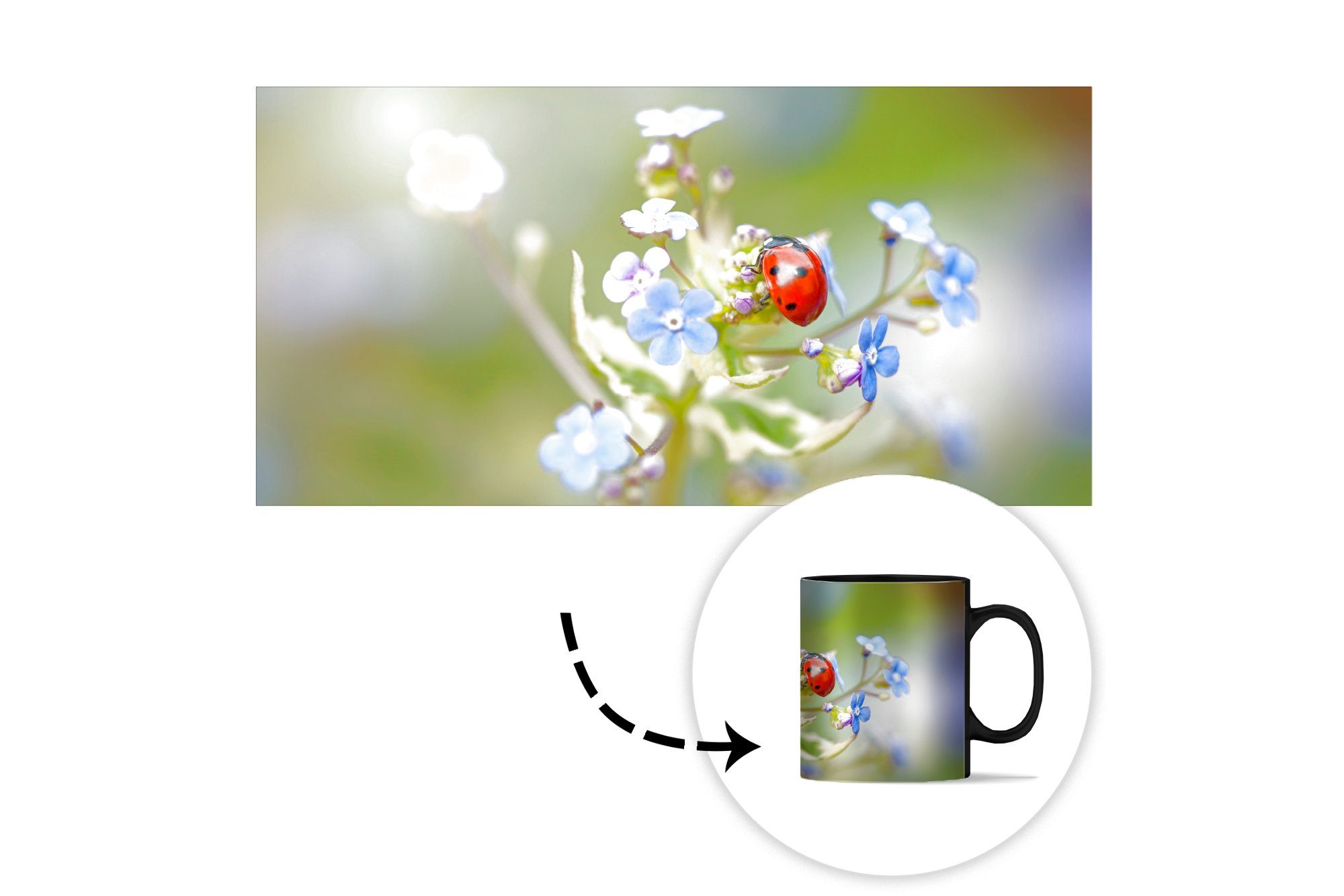 - - Marienkäfer Blume Zaubertasse, Geschenk Tasse Farbwechsel, Kaffeetassen, MuchoWow Keramik, Frühling, Teetasse,
