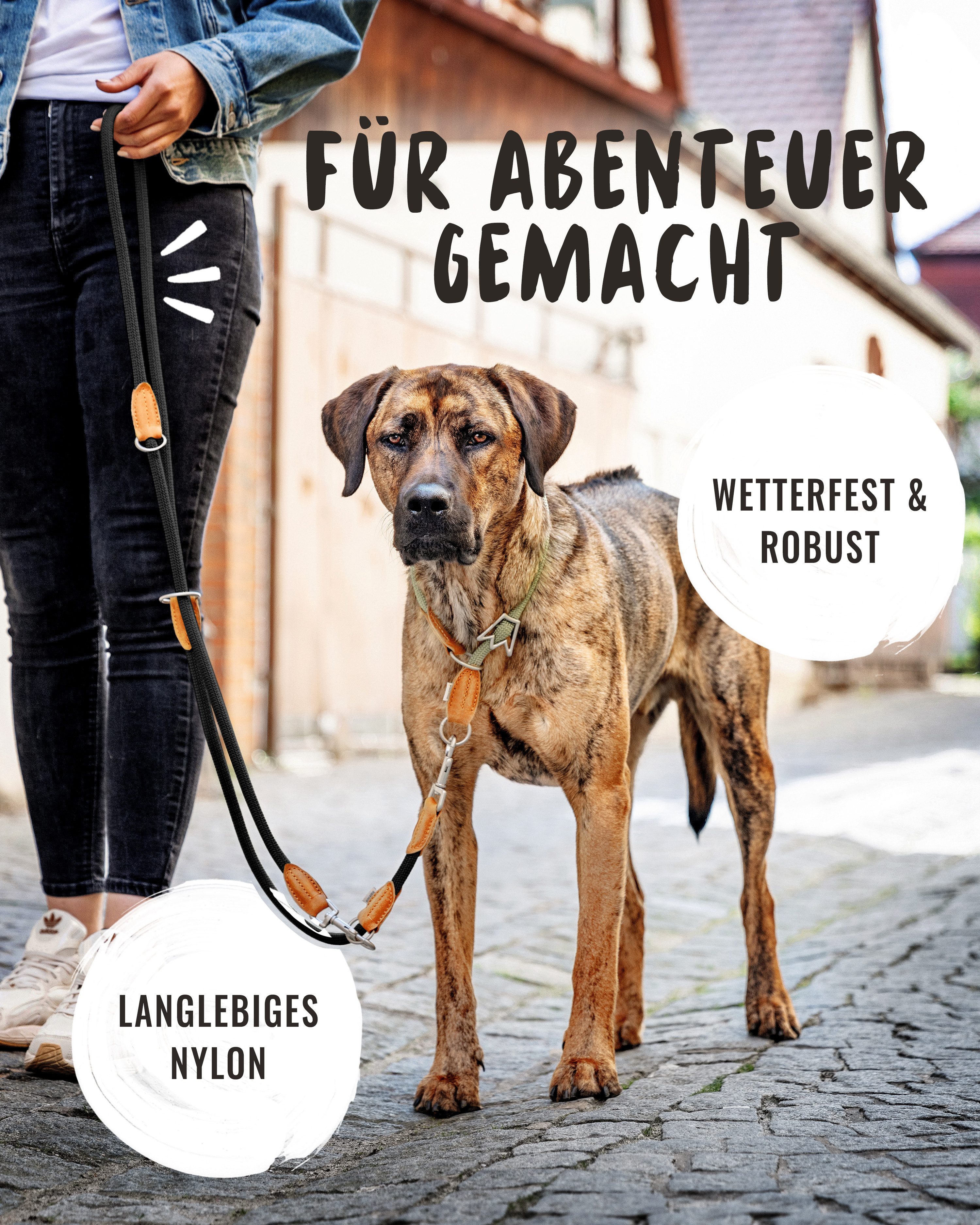 Rudelkönig Hundeleine Hundeleine 2,25m mit Leder, Elegante Führleine für große Hunde, Leder, Polyester (1-tlg), 3-fach verstellbare Tauleine