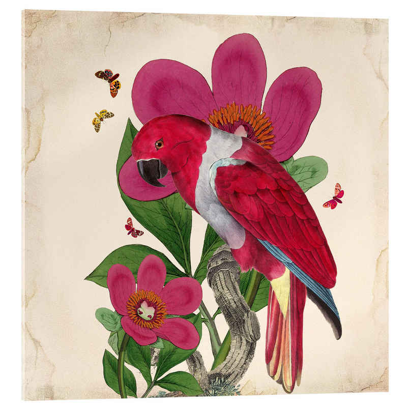 Posterlounge Acrylglasbild Mandy Reinmuth, Exotische Papageien VI, Wohnzimmer Orientalisches Flair Malerei