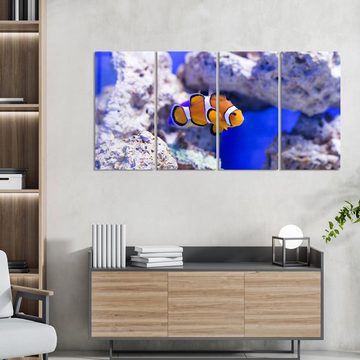 DEQORI Glasbild 'Clownfisch im Meer', 'Clownfisch im Meer', Glas Wandbild Bild schwebend modern