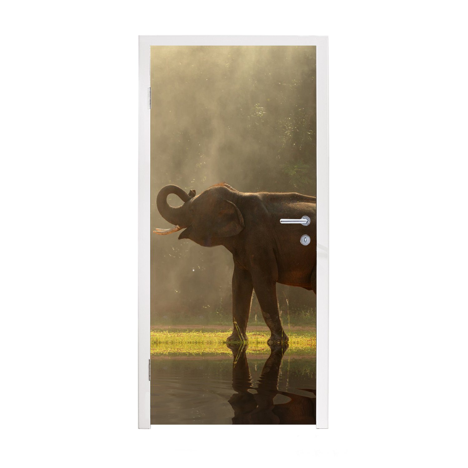 Fototapete Elefant MuchoWow - - - Natur, cm für (1 bedruckt, St), Türaufkleber, Tiere Tür, 75x205 Matt, Türtapete Wasser