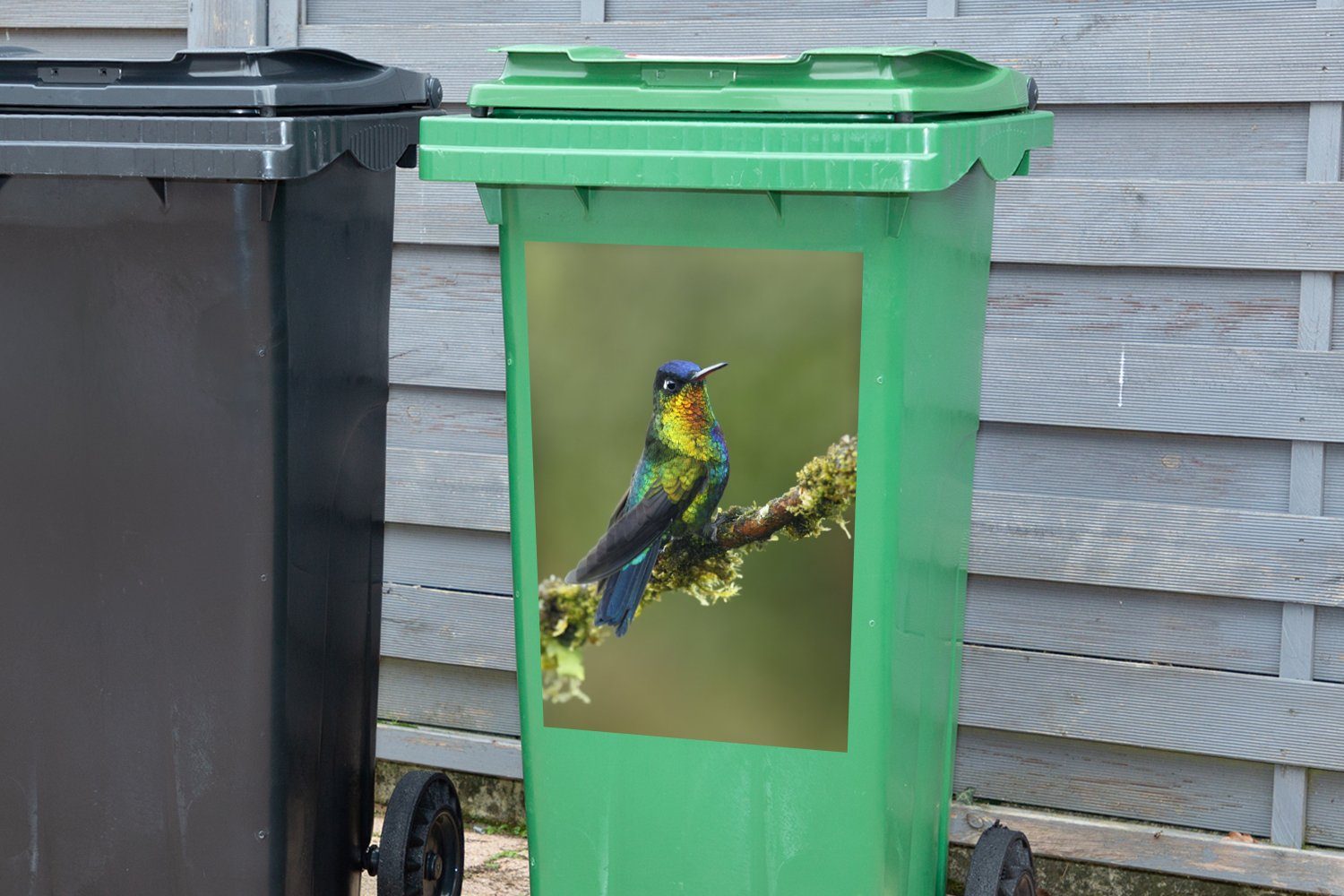 Wandsticker Mülltonne, (1 Vogel Container, Abfalbehälter Farben St), Mülleimer-aufkleber, - Sticker, Kolibri MuchoWow -
