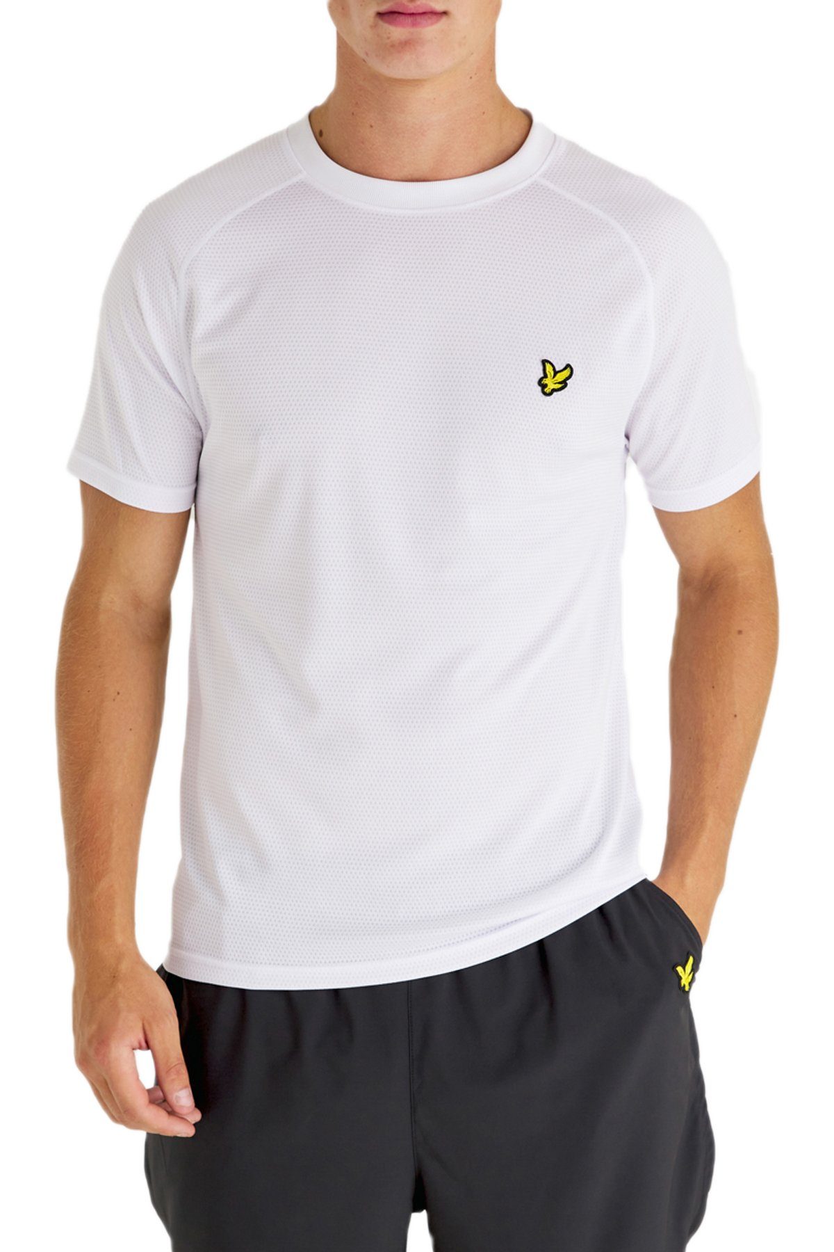 Lyle & Scott T-Shirt Herren Raglan, günstig online kaufen