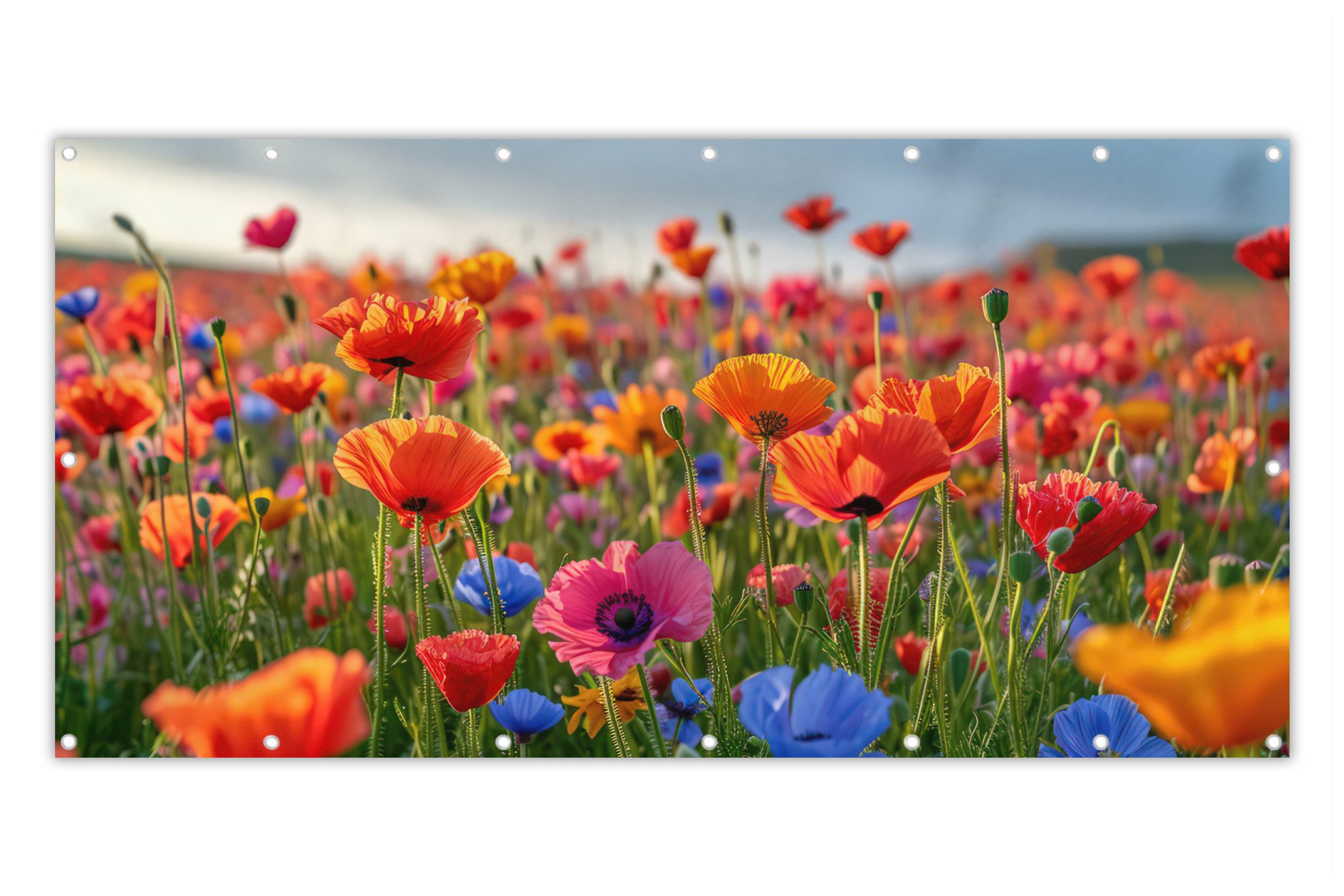 MuchoWow Balkonsichtschutz Blumen - Mohnblumen - Farbenfroh - Natur (1-St) Balkon Sichtschutz 90x200, Windschutz für Zaun PVC, 200x90 cm