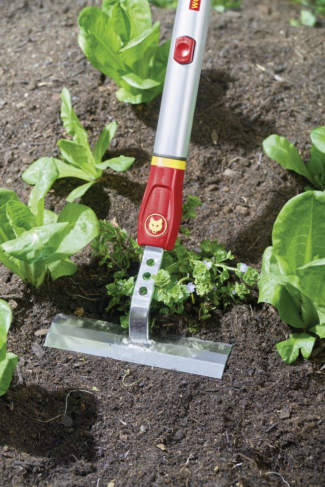 WOLF-Garten Unkrautstecher Wolf Garten Schuffel GS-M 14 14 cm Arbeitsbreite