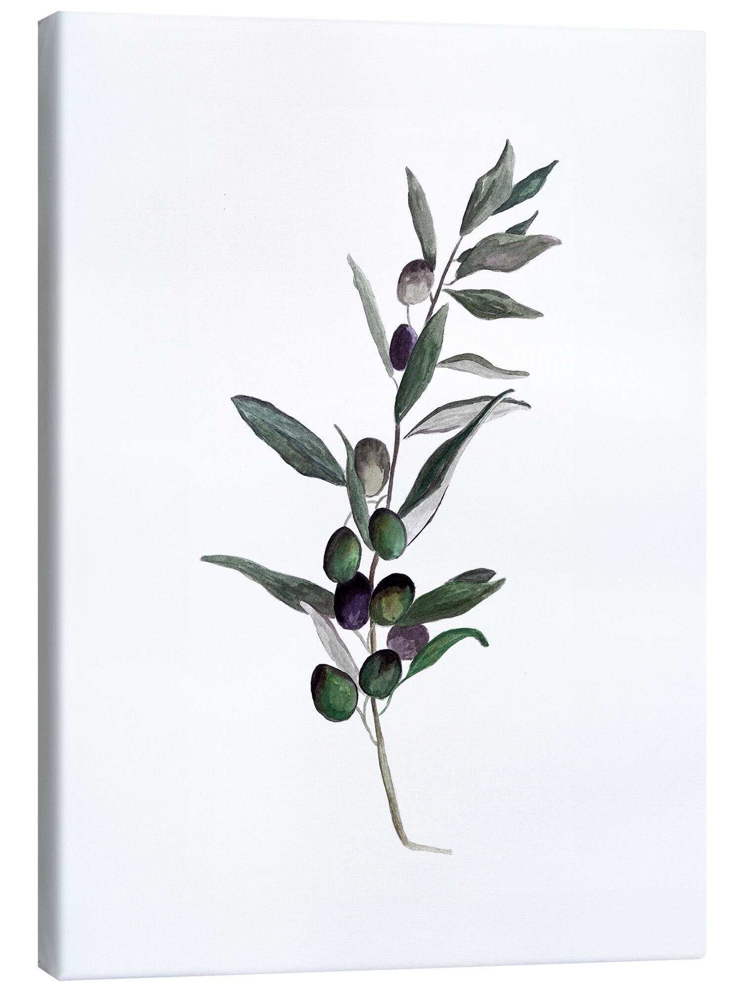 Posterlounge Wandbild Olive, Mantika Studio, erhältlich als Poster, Leinwandbild, Wandsticker oder Acrylglasbild