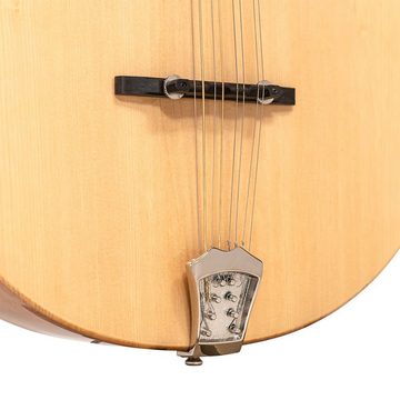 Gold Tone Banjo Gold Tone BZ-500 Irische Bouzouki Mandoline mit Hartschalenkoffer