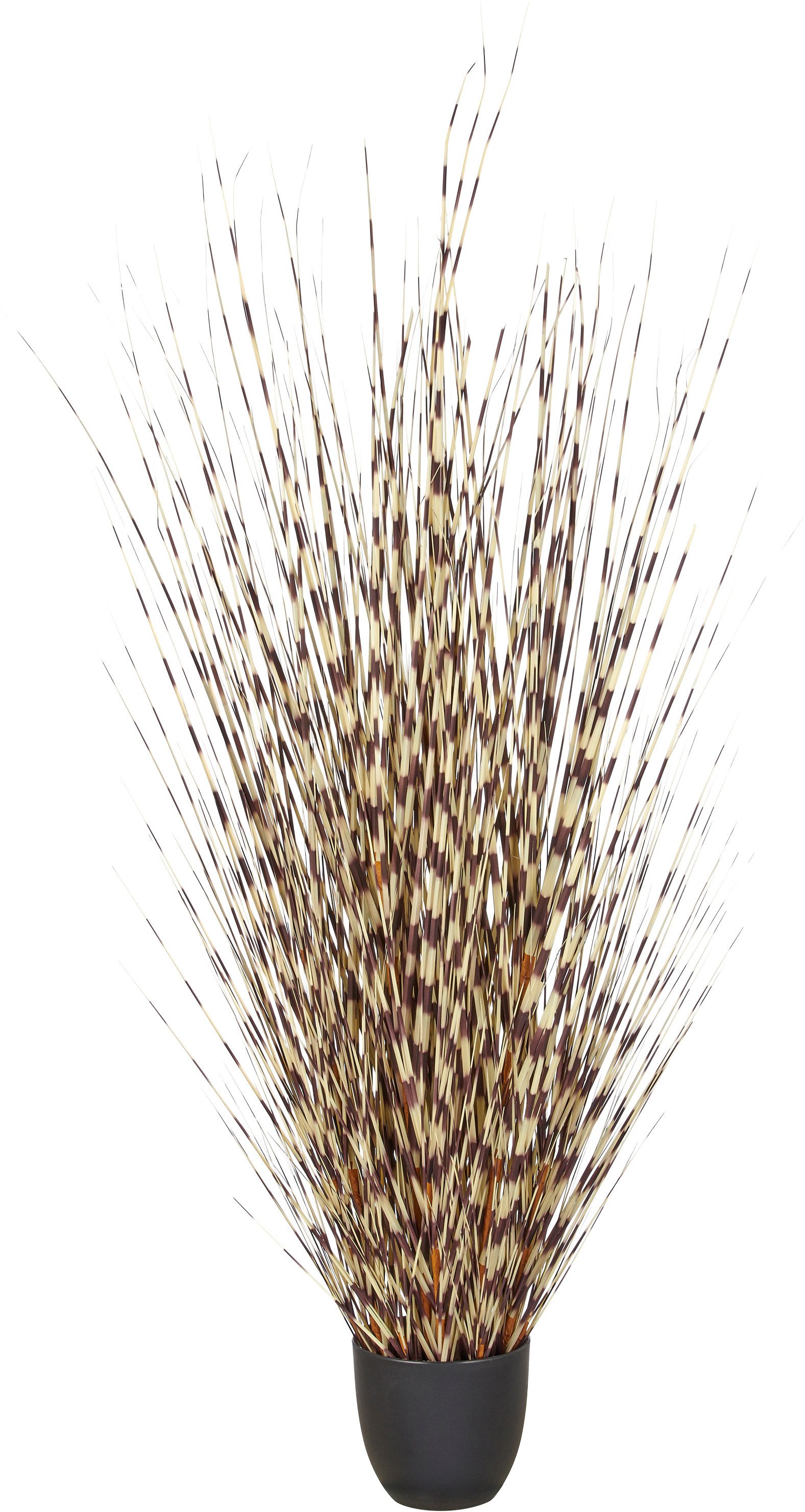 Kunstgras Grasbusch Miscanthus, Creativ green, Höhe 140 cm, mit außergewöhnlicher Farbgestaltung