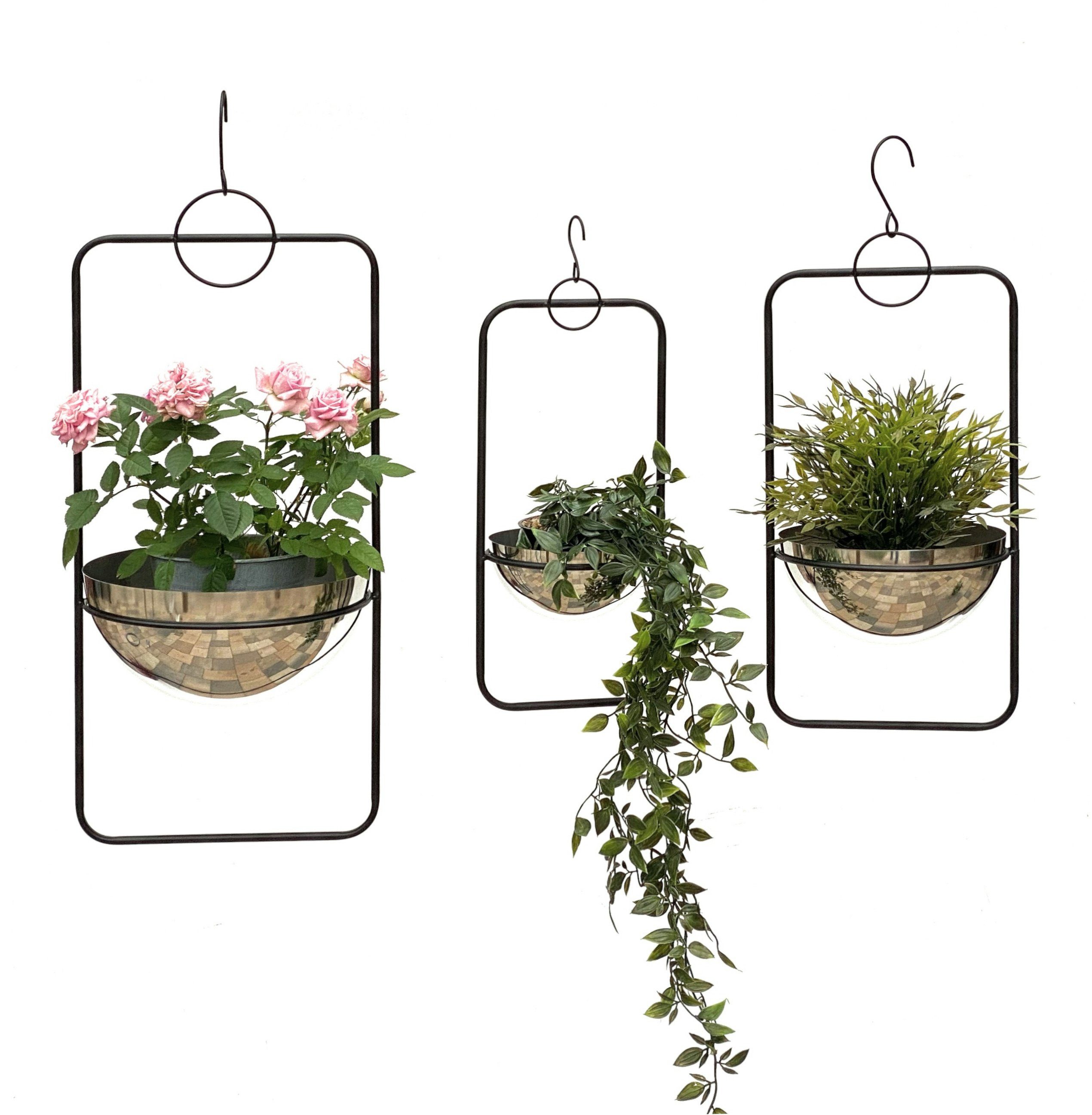 DanDiBo Blumenampel Blumenampel Innen Metall Wand Hängepflanzen 96083 3er Set mit Topf Silber Pflanzenhänger Blumenhänger Topfhänger Blumen Blumentopfhänger Hängetopf