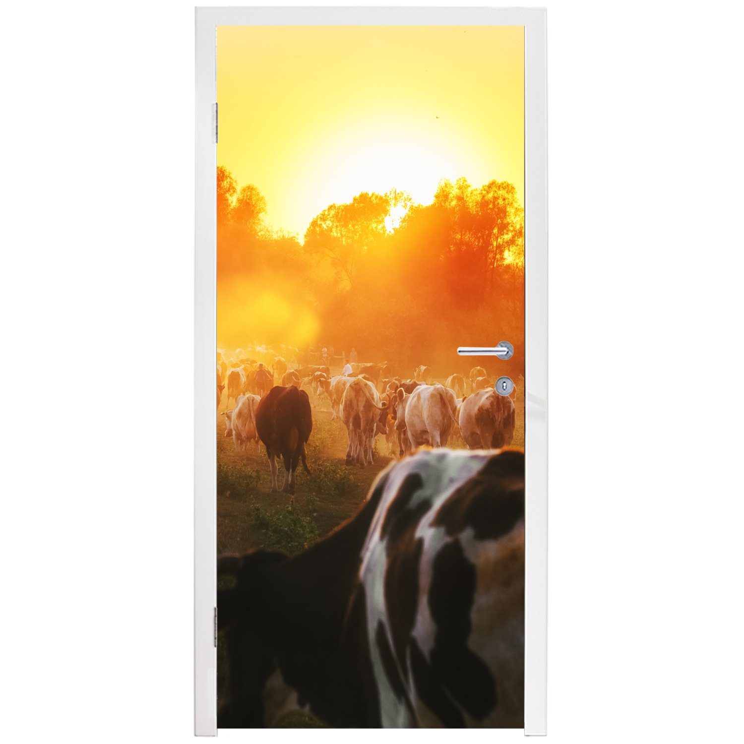 Türaufkleber, Sonnenuntergang - (1 Kühe cm Türtapete - MuchoWow Wiese - St), Matt, 75x205 bedruckt, Fototapete für Tür, Tiere,