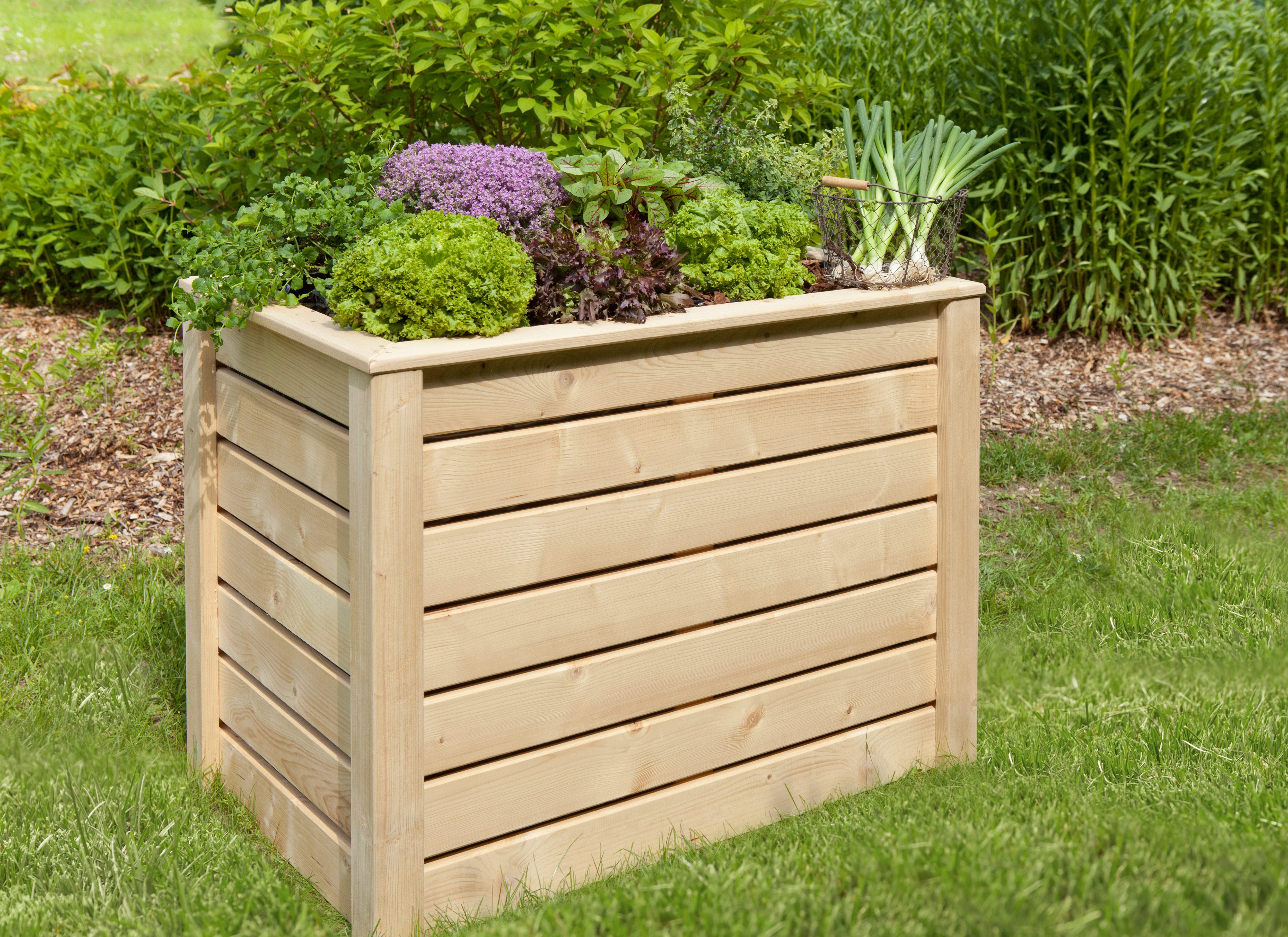 KONIFERA Hochbeet aus unbehandeltem Fichtenholt, BxTxH: 100x60x75 cm