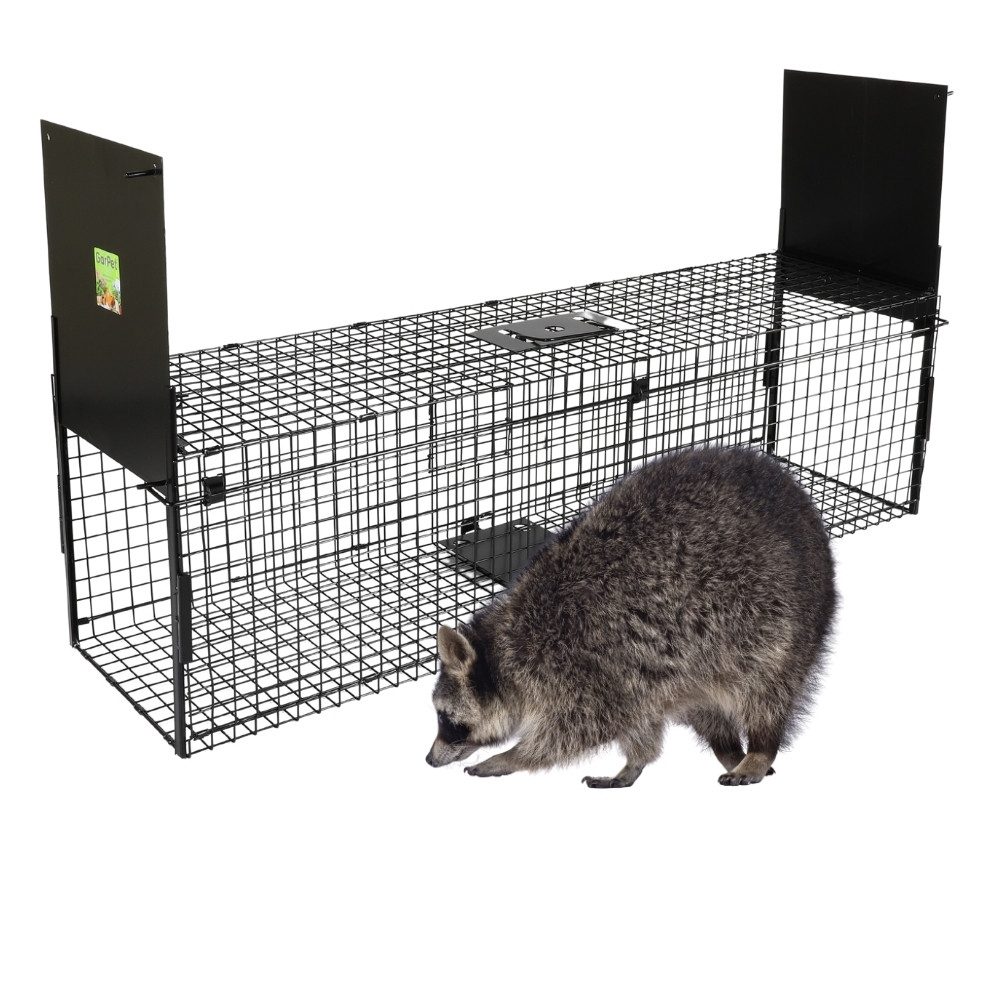 GarPet Lebendfalle Lebendfalle Fuchsfalle Katzenfalle Doppeltür Lebende Marder Falle 120