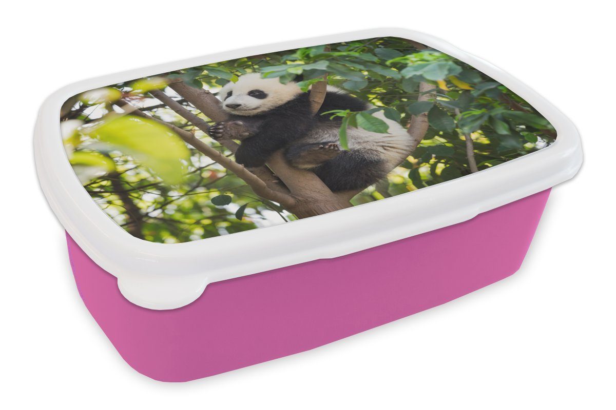 MuchoWow Lunchbox Panda - Tier - Baum, Kunststoff, (2-tlg), Brotbox für Erwachsene, Brotdose Kinder, Snackbox, Mädchen, Kunststoff rosa