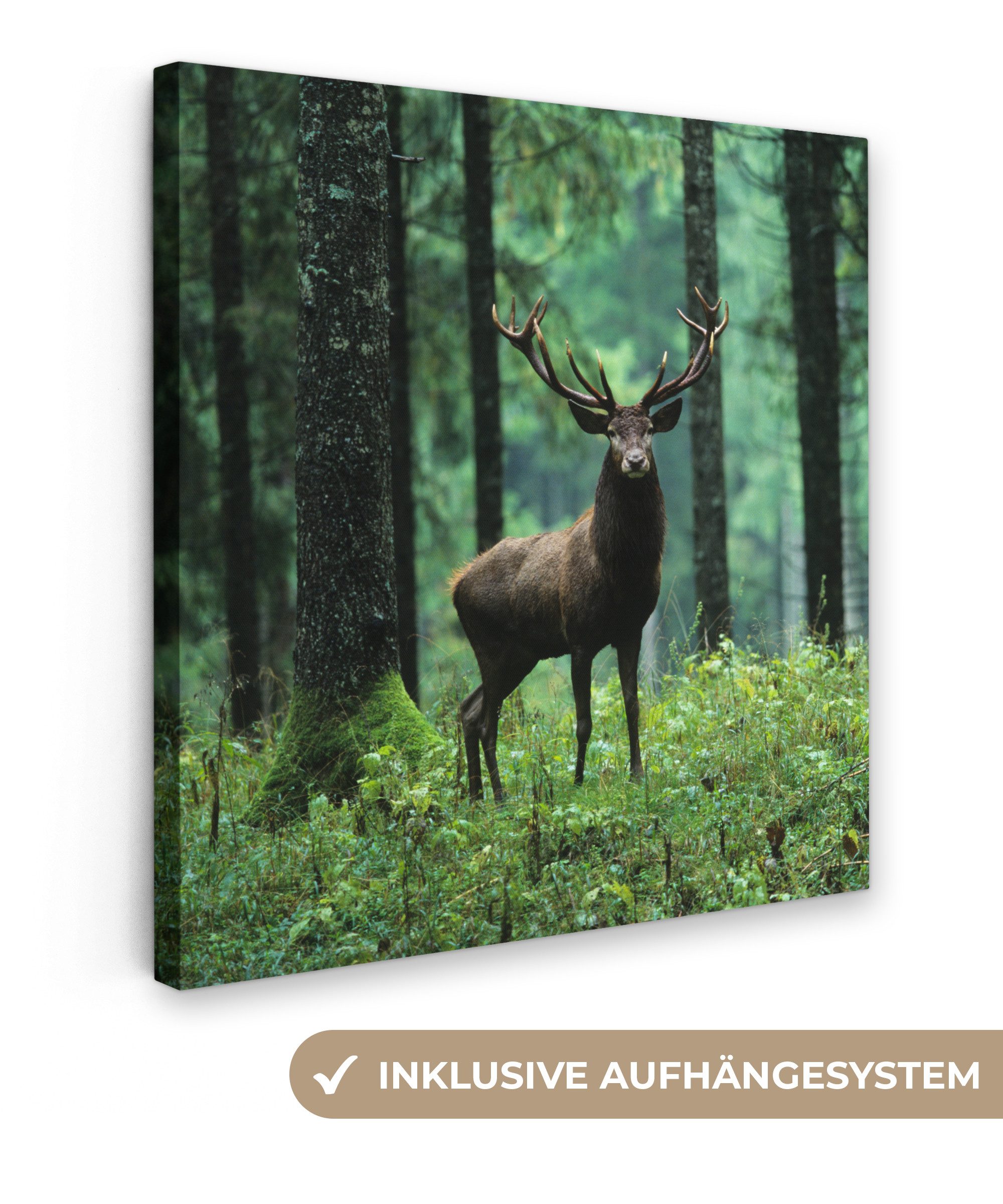 OneMillionCanvasses® Leinwandbild Hirsche - Wald - Bäume - Tiere - Natur, Fotodruck (1 St), Wandbild, Deko Schlafzimmer Wohnzimmer Flur 20x20 cm