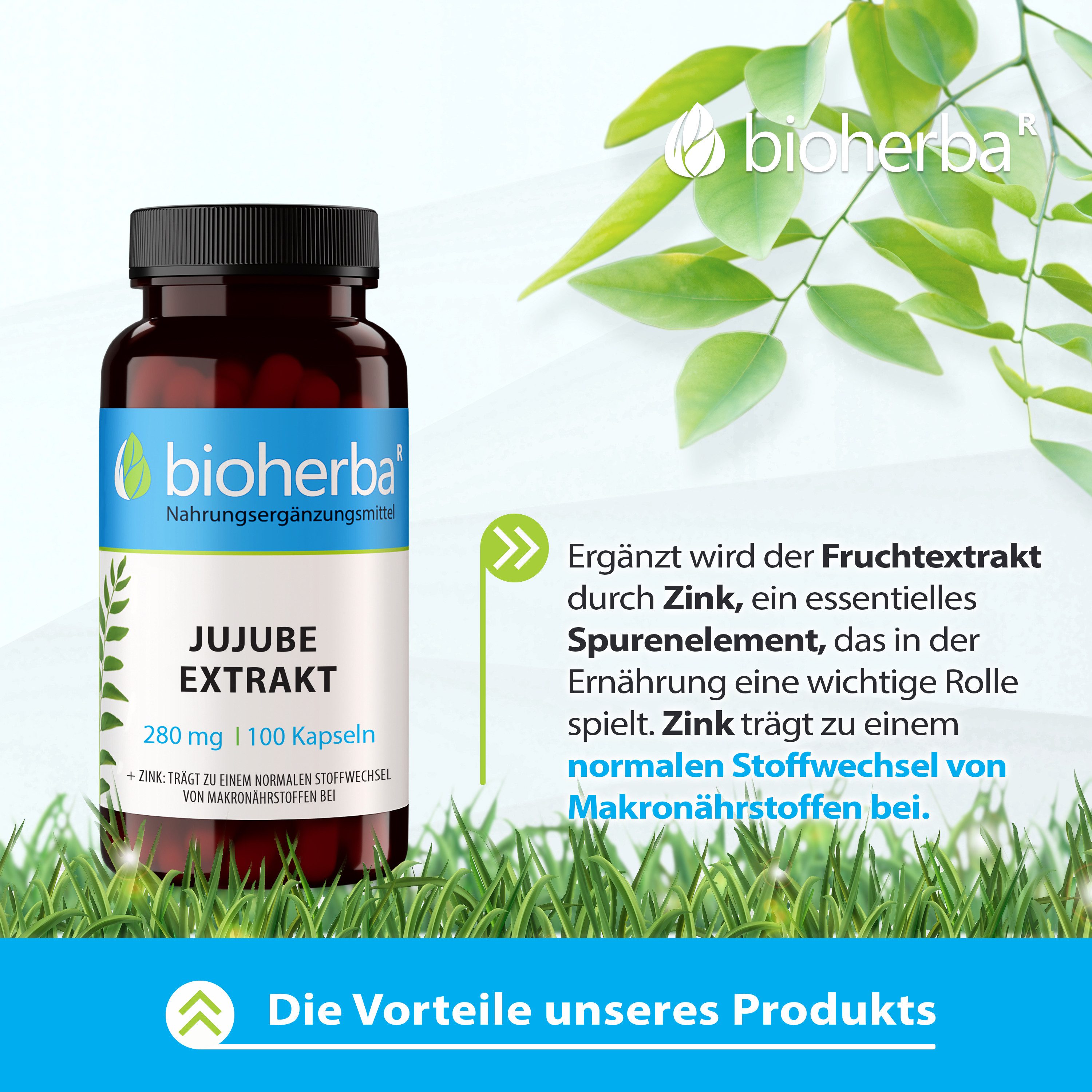 BIOHERBA R Bioherba Jujube Extrakt 280 mg 100 Kapseln Nahrungsergänzungsmittel, 1 er