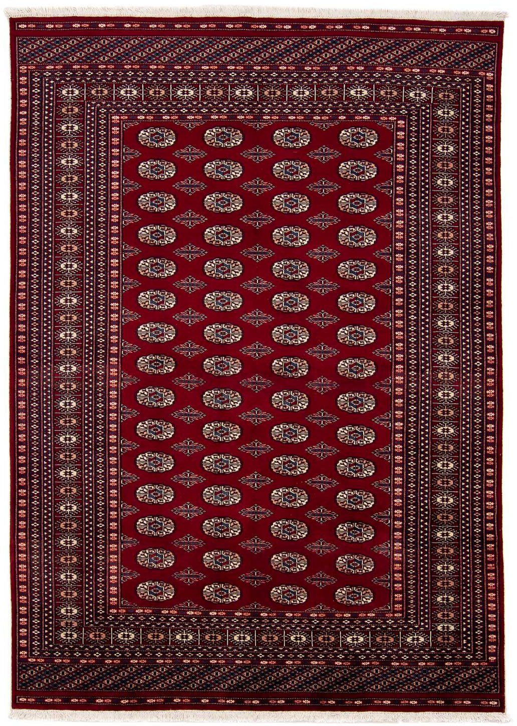 morgenland, Einzelstück Afghan mit 7 dunkelrot, - Zertifikat - x Höhe: Handgeknüpft, Buchara Wohnzimmer, 170 mm, rechteckig, 240 Orientteppich cm -