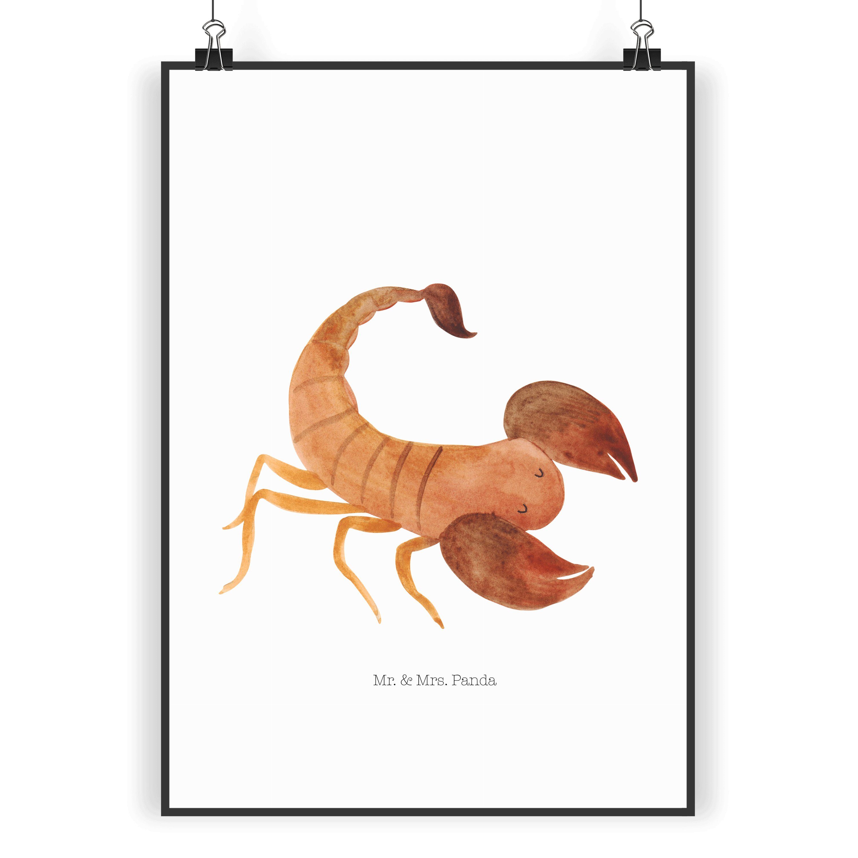 Mr. & Mrs. Panda Poster Sternzeichen Skorpion DIN A5 - Weiß - Geschenk, Poster, Küchenposter, Sternzeichen Skorpion (Packung, 1 St), Hochwertiges Material