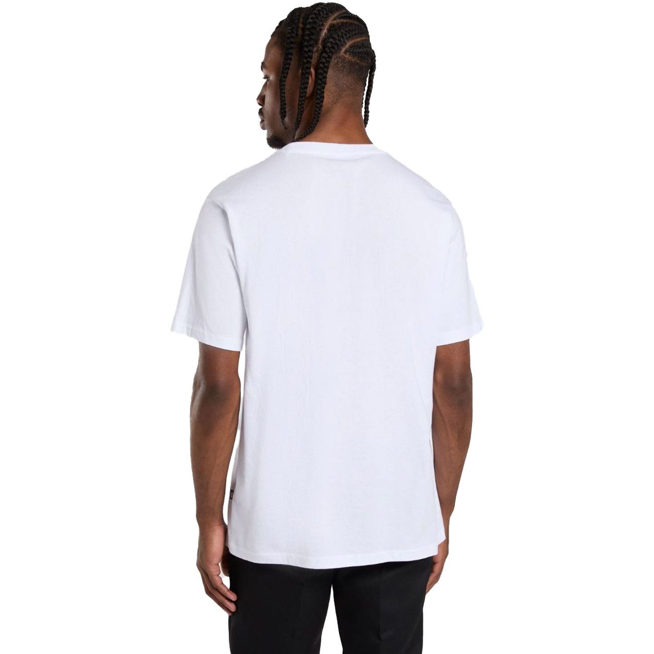 Dickies T-Shirt MAPLETON TEE MAPLETON TEE günstig online kaufen