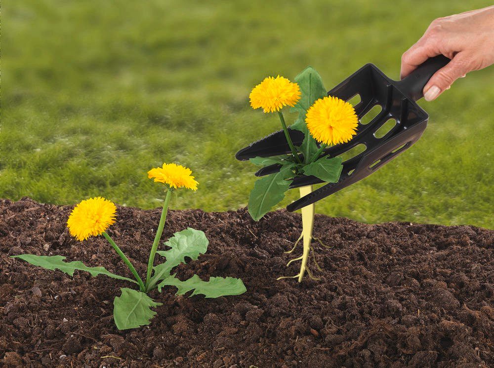 WENKO Gartenpflege-Set Gartenspatel, Unkrautschneider, Polypropylen, handlich