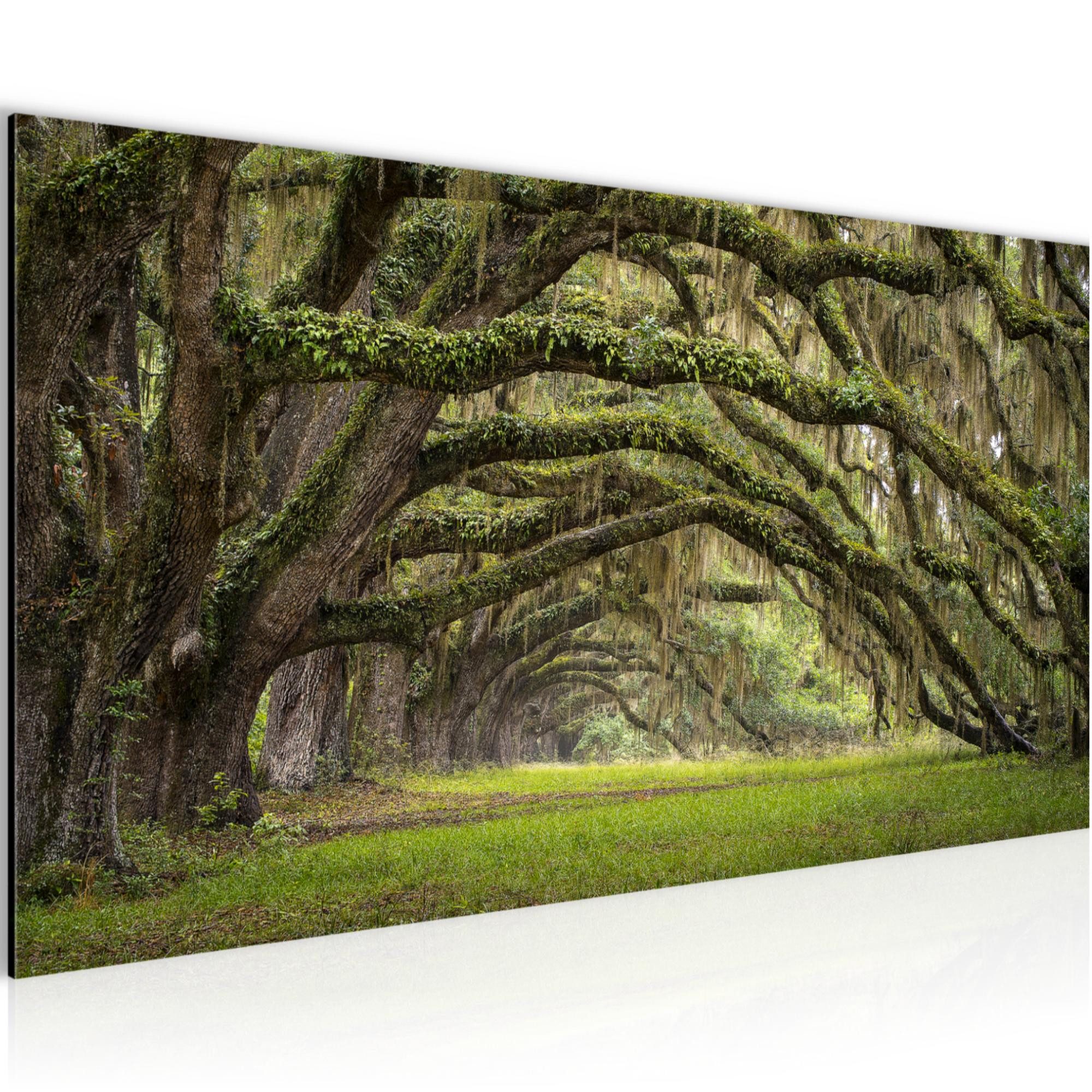 Runa Art Wandbild Wald Landschaft Modern Bild auf Vlies Leinwand Natur Grün 6099, 100L x 40B cm