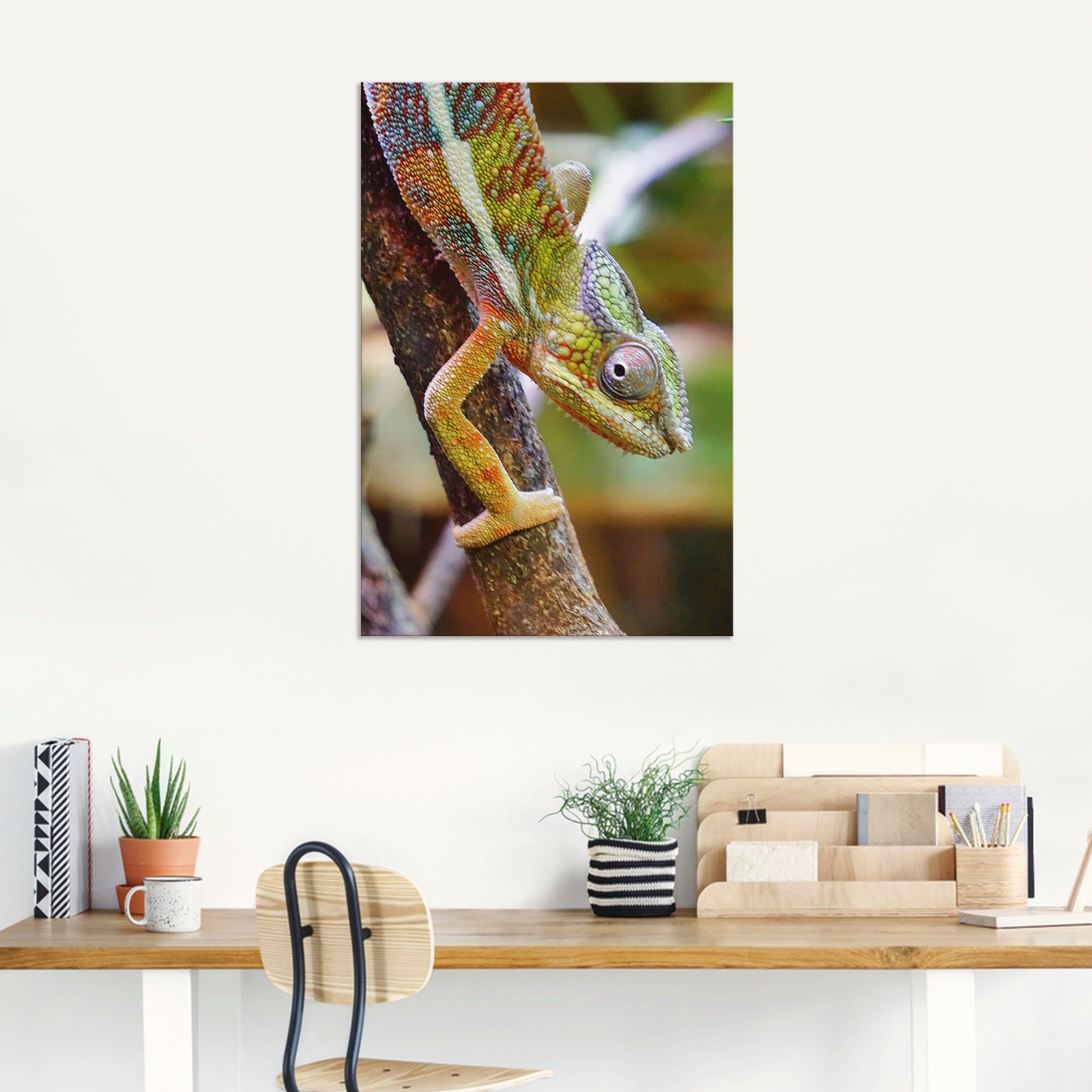 Artland Wandbild »Chamäleon«, Reptilien (1 Stück), in vielen Größen & Produktarten - Alubild / Outdoorbild für den Außenbereich, Leinwandbild, Poster, Wandaufkleber / Wandtattoo auch für Badezimmer geeignet-kaufen