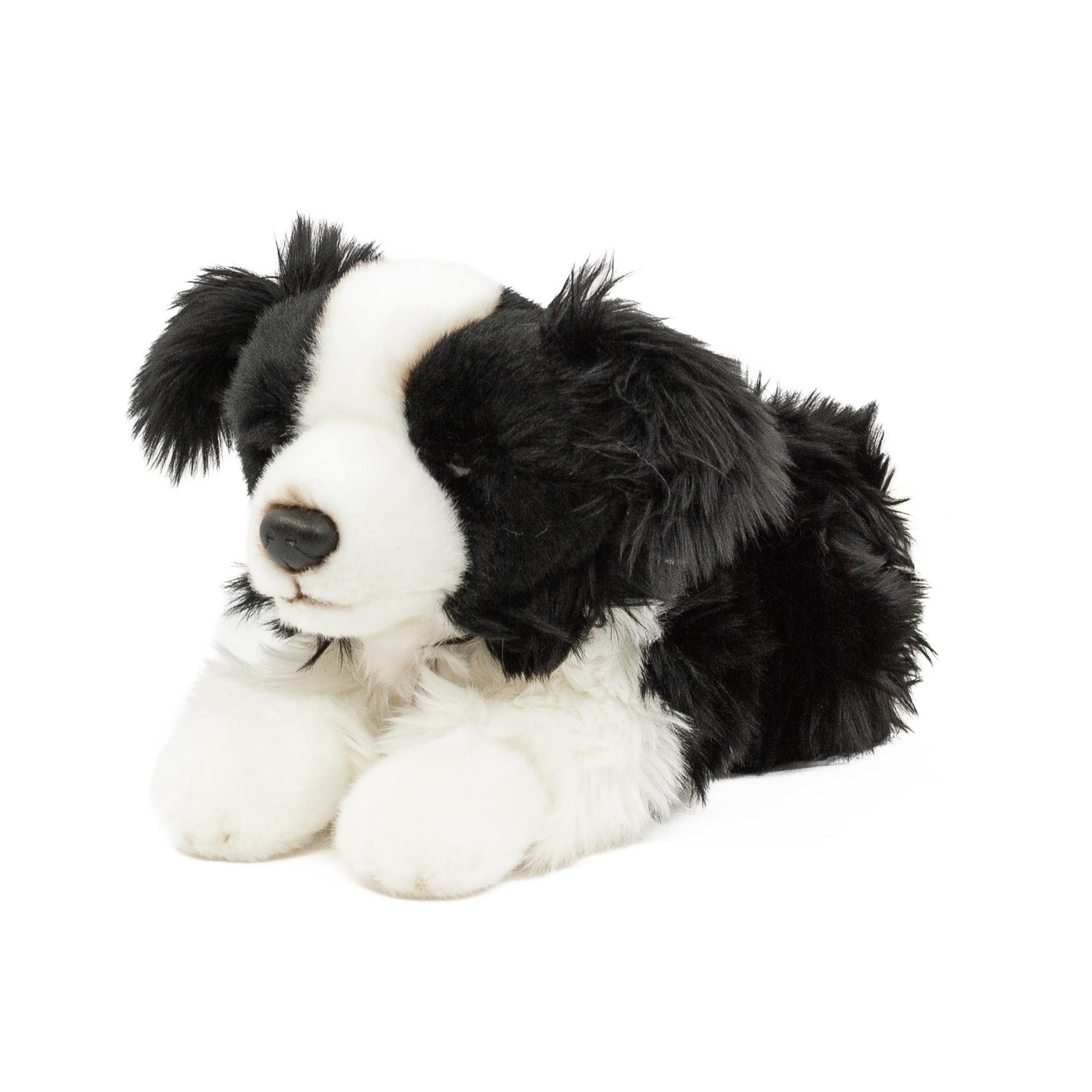 Teddys Rothenburg Kuscheltier Hund Border Collie 30 cm liegend schwarz/weiß günstig online kaufen