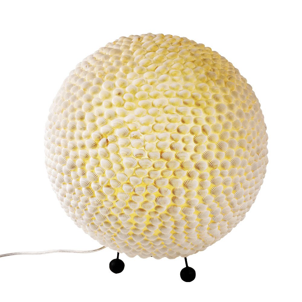 etc-shop LED Tischleuchte, Leuchtmittel inklusive, Warmweiß, Muschel Tisch Lampe Wohn Schlaf Zimmer Beleuchtung Kugel Design