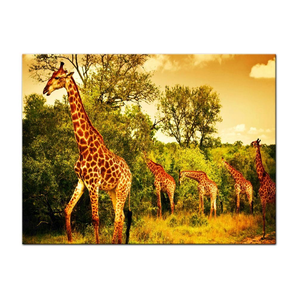 Bilderdepot24 Leinwandbild Giraffen - Südafrika, Tiere