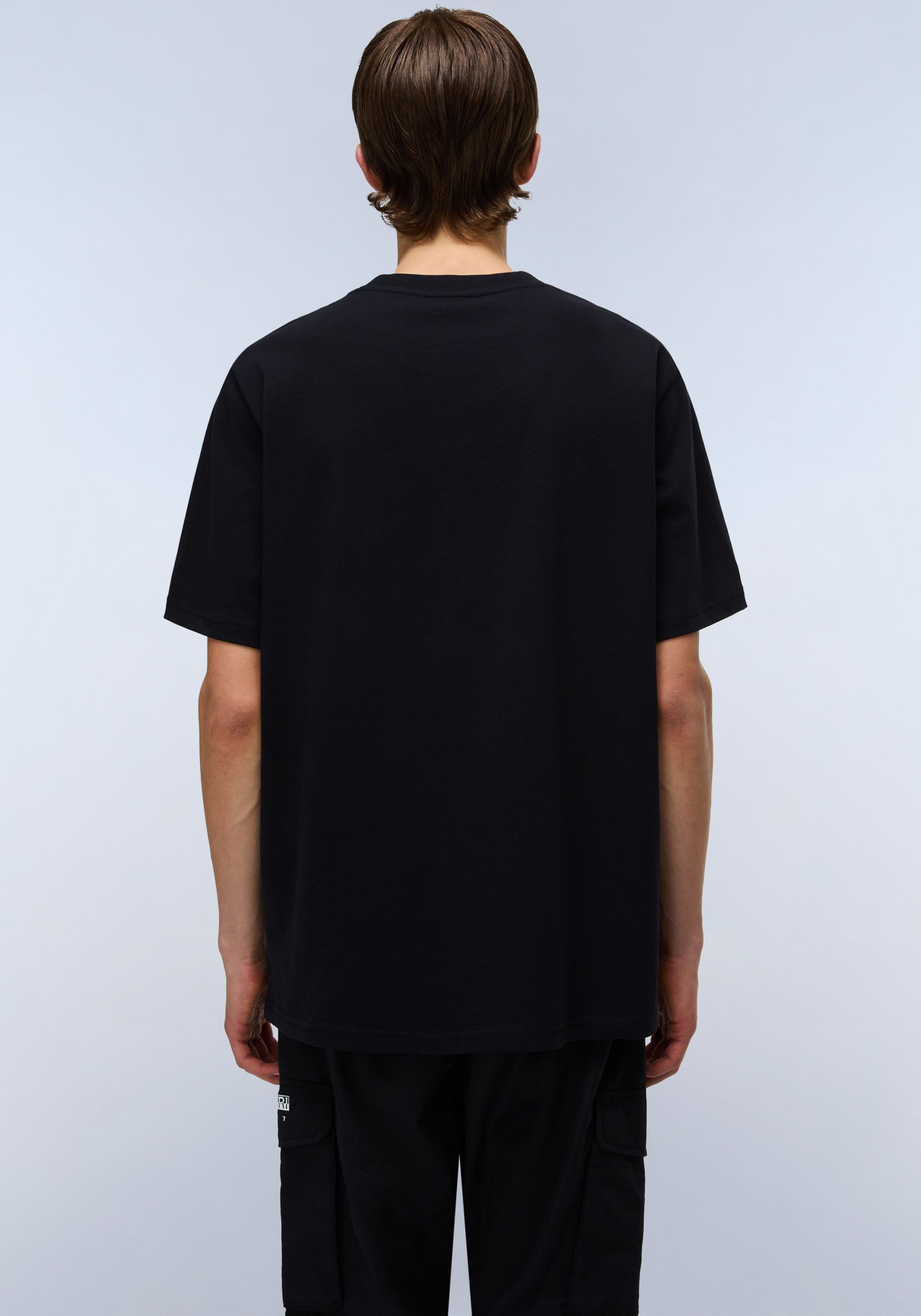 Napapijri T-Shirt DRAPEAU mit Print, Rundhals, Jersey günstig online kaufen