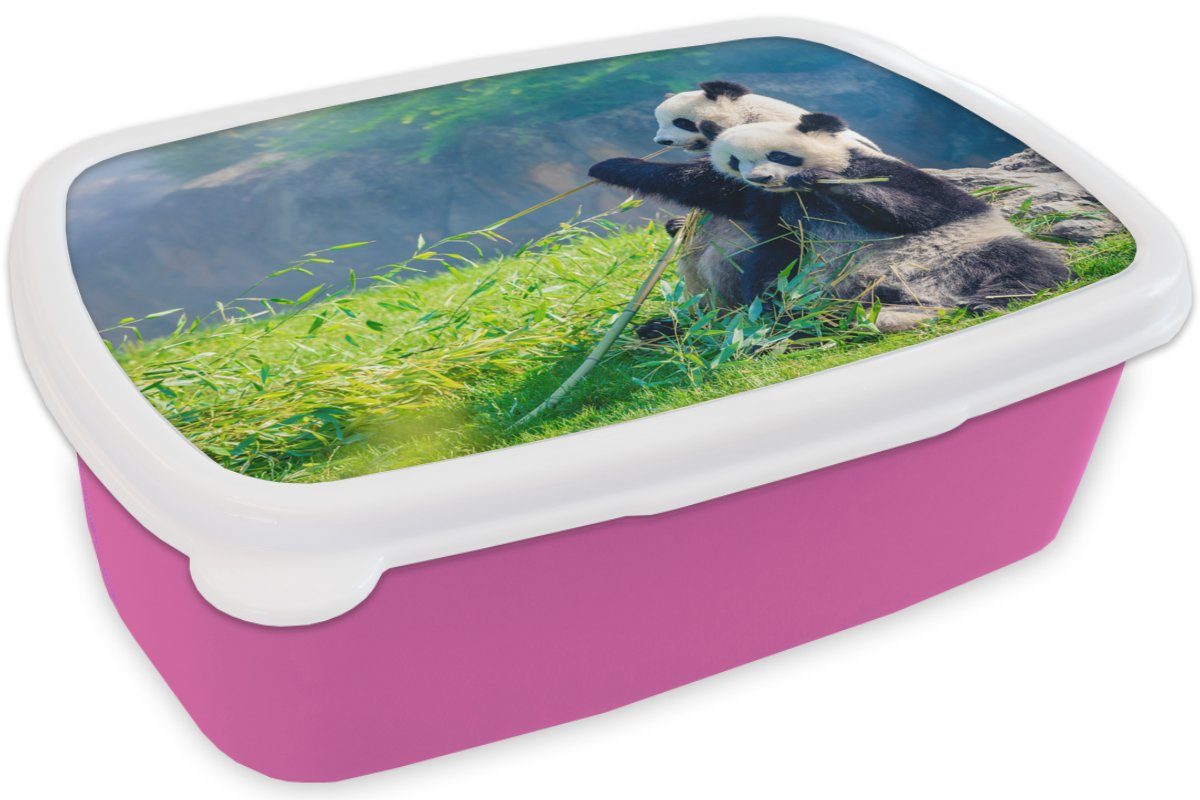 - - Mädchen, rosa Brotbox Erwachsene, (2-tlg), für Kinder, Kunststoff, Snackbox, MuchoWow Brotdose Bambus Gras - Panda Lunchbox Kunststoff Tiere,