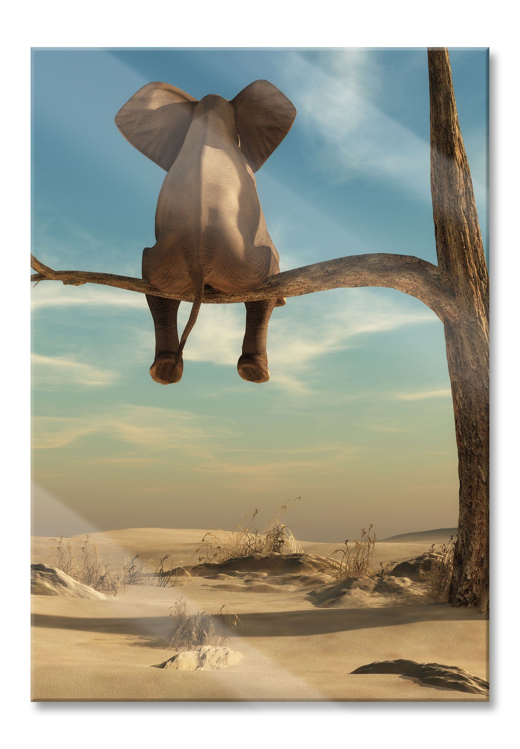 Glasbild Elefant auf einem Ast in der Wüste
