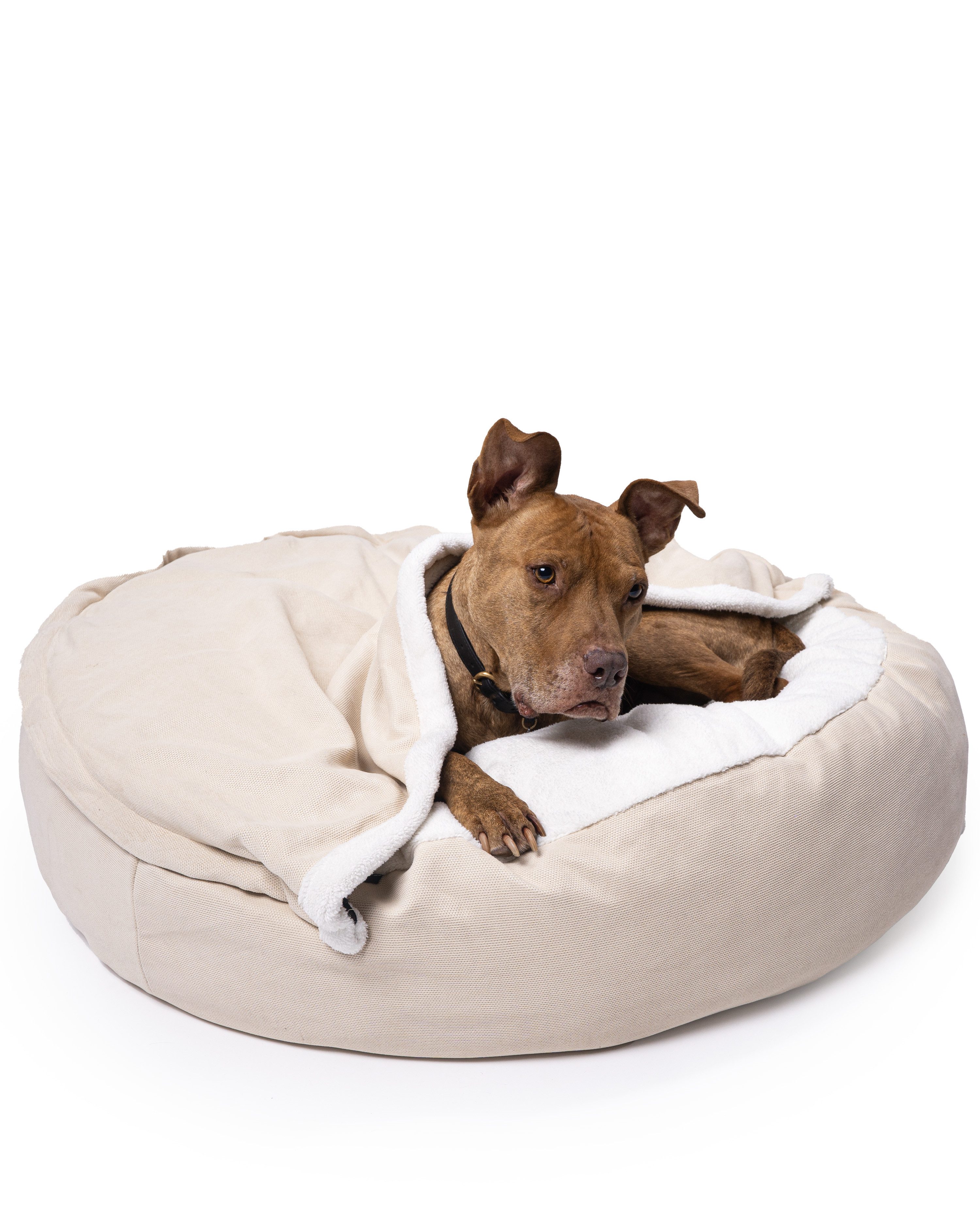 lous Hundematratze Anti-Stress Hundebett mit abnehmbarer Kuscheldecke, Antistress, Flauschiger Innenstoff, Abnehmbare Kuscheldecke