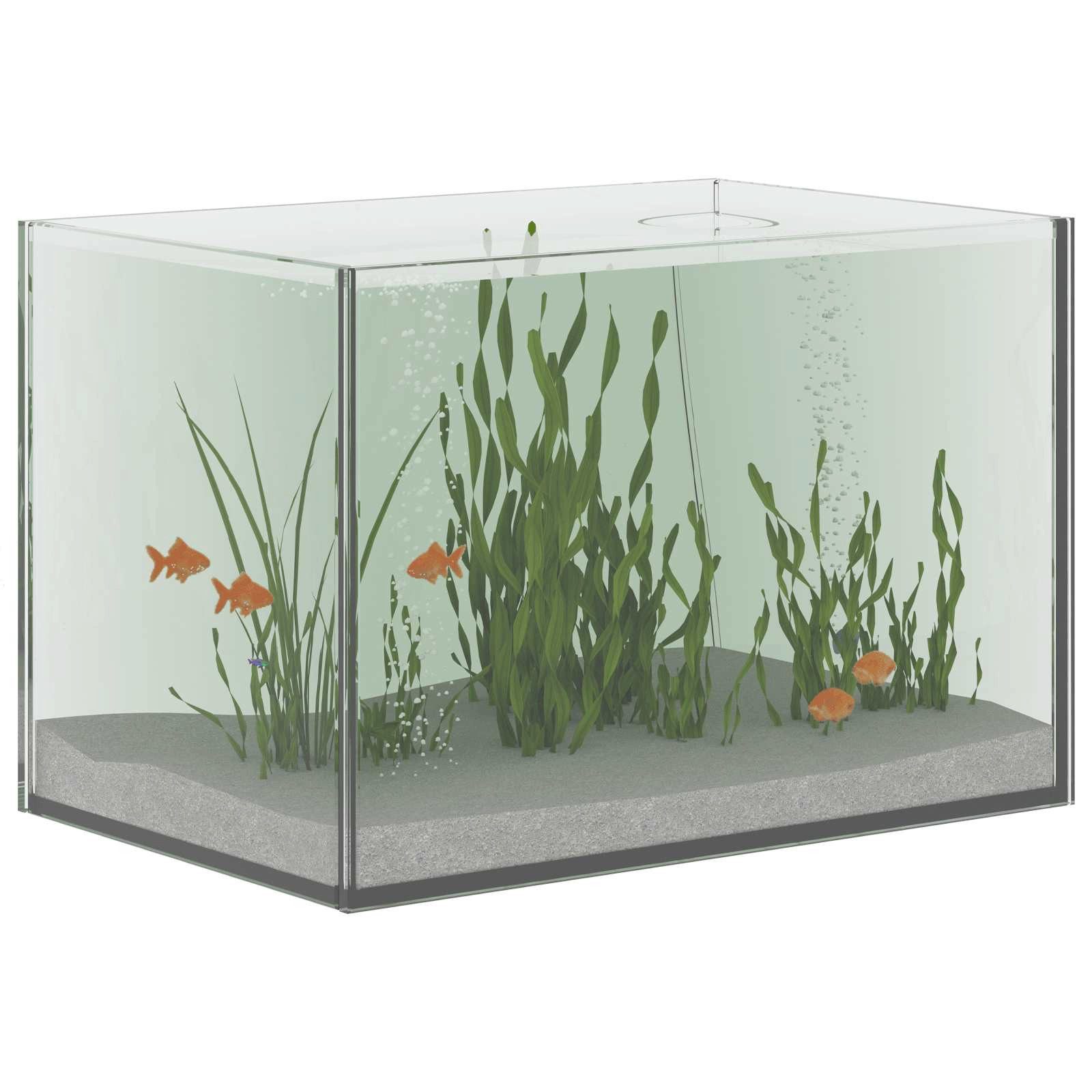 vidaXL Aquarium 30 x 20 x 20 cm Aquarium mit Speicher Weiß 30x20x20 cm Glas